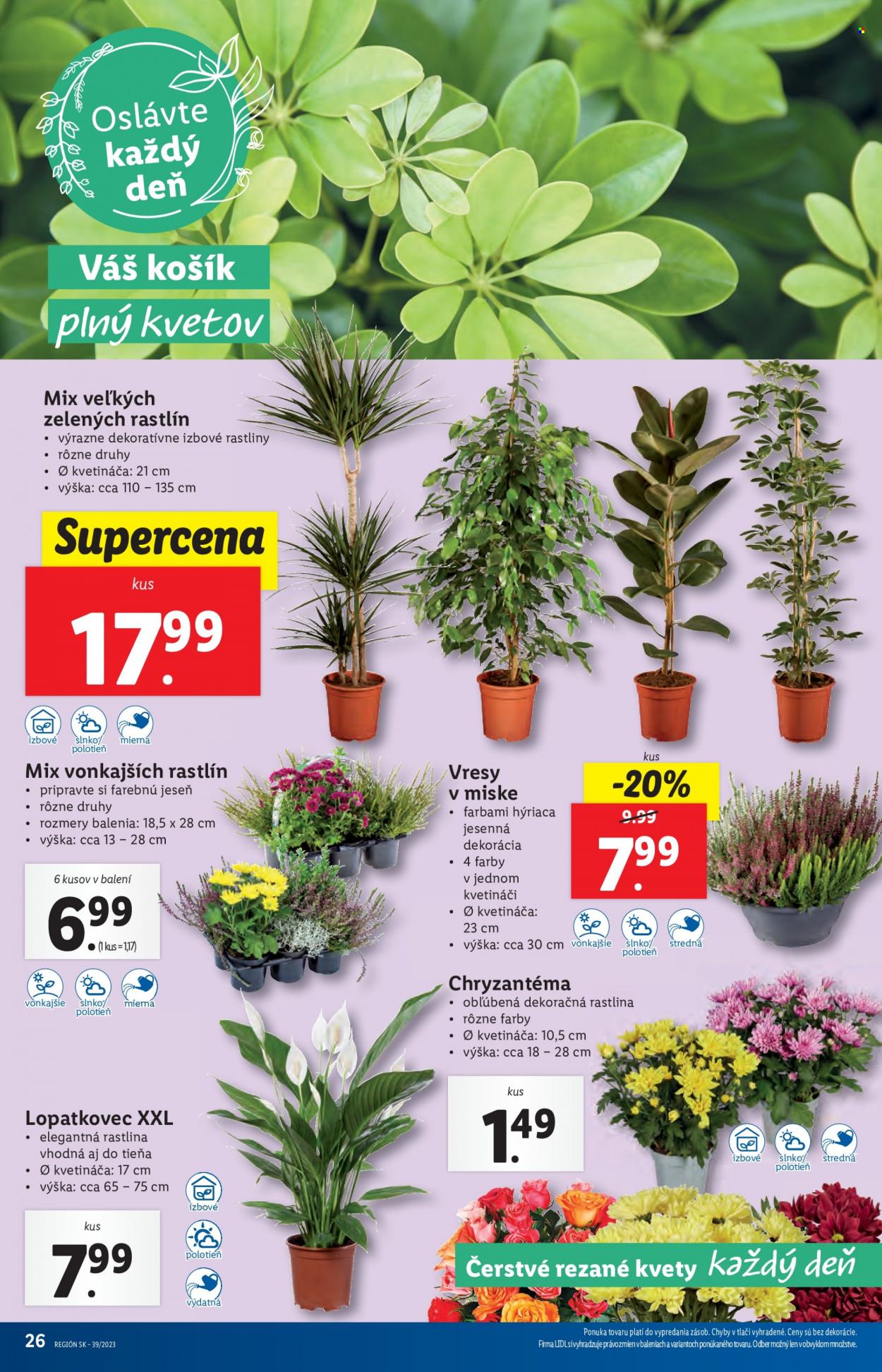 Leták Lidl - 25.9.2023 - 1.10.2023. Strana 34
