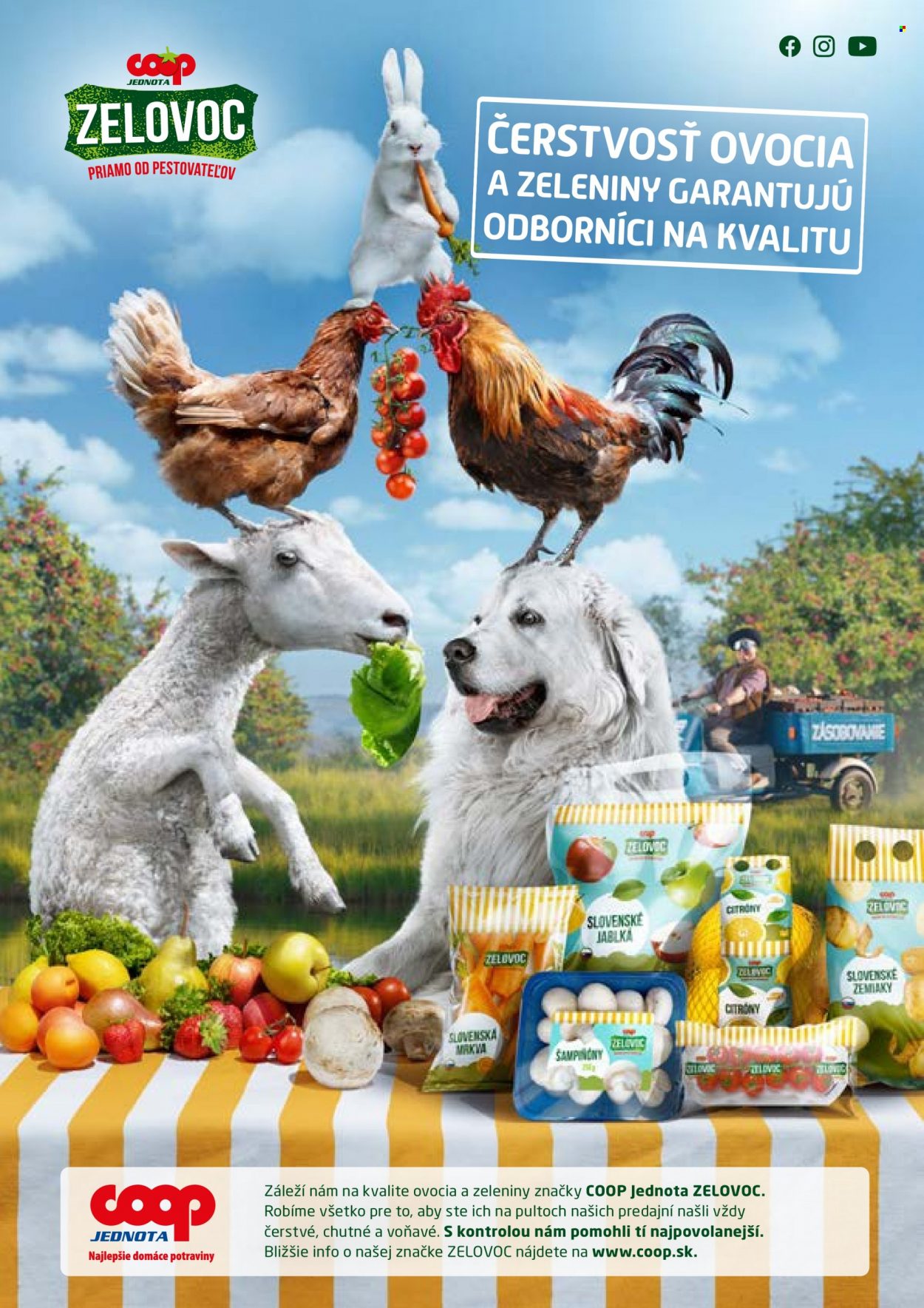 Leták COOP Jednota - 28.9.2023 - 4.10.2023. Strana 8