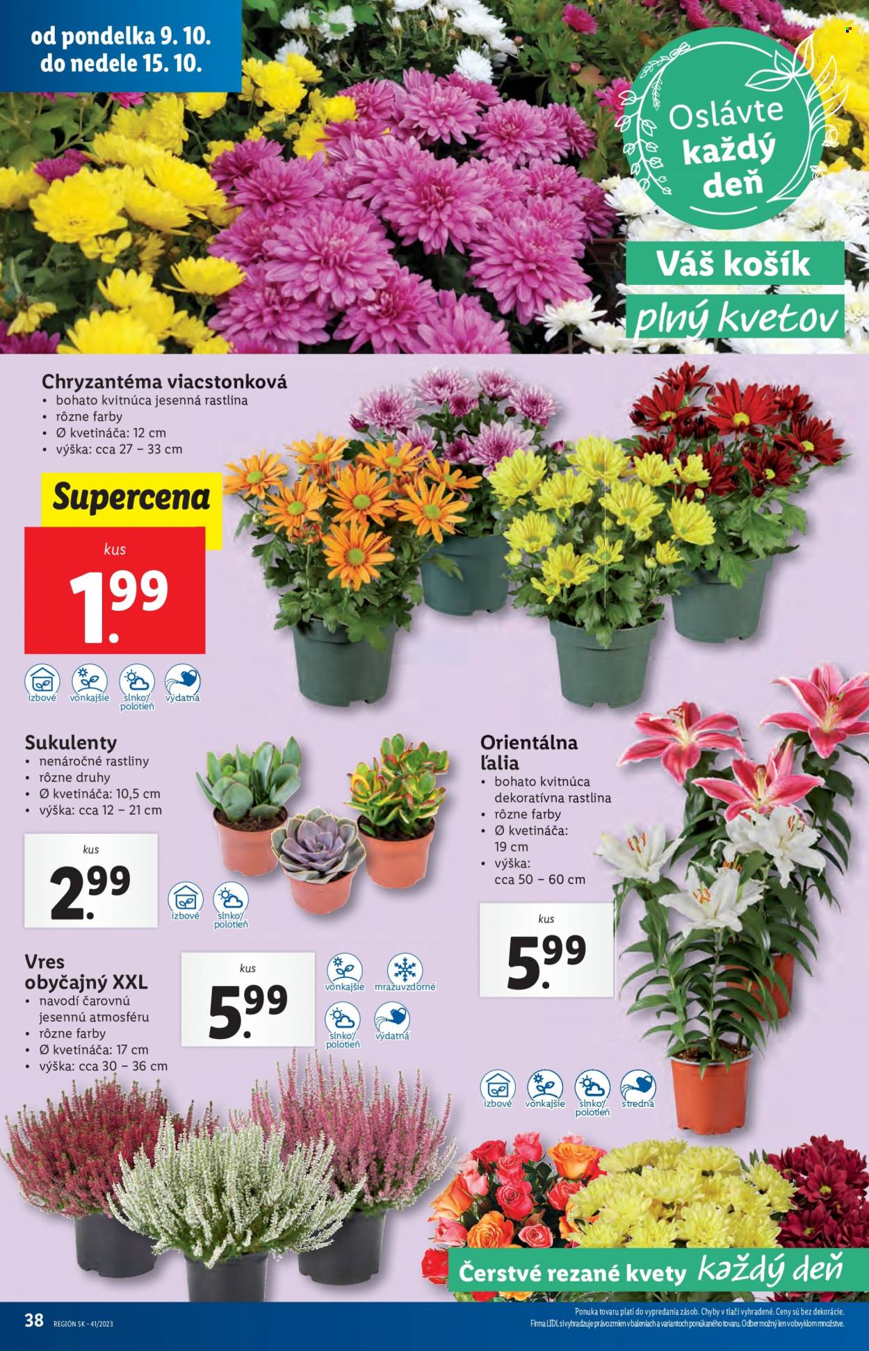 Leták Lidl - 9.10.2023 - 15.10.2023. Strana 49