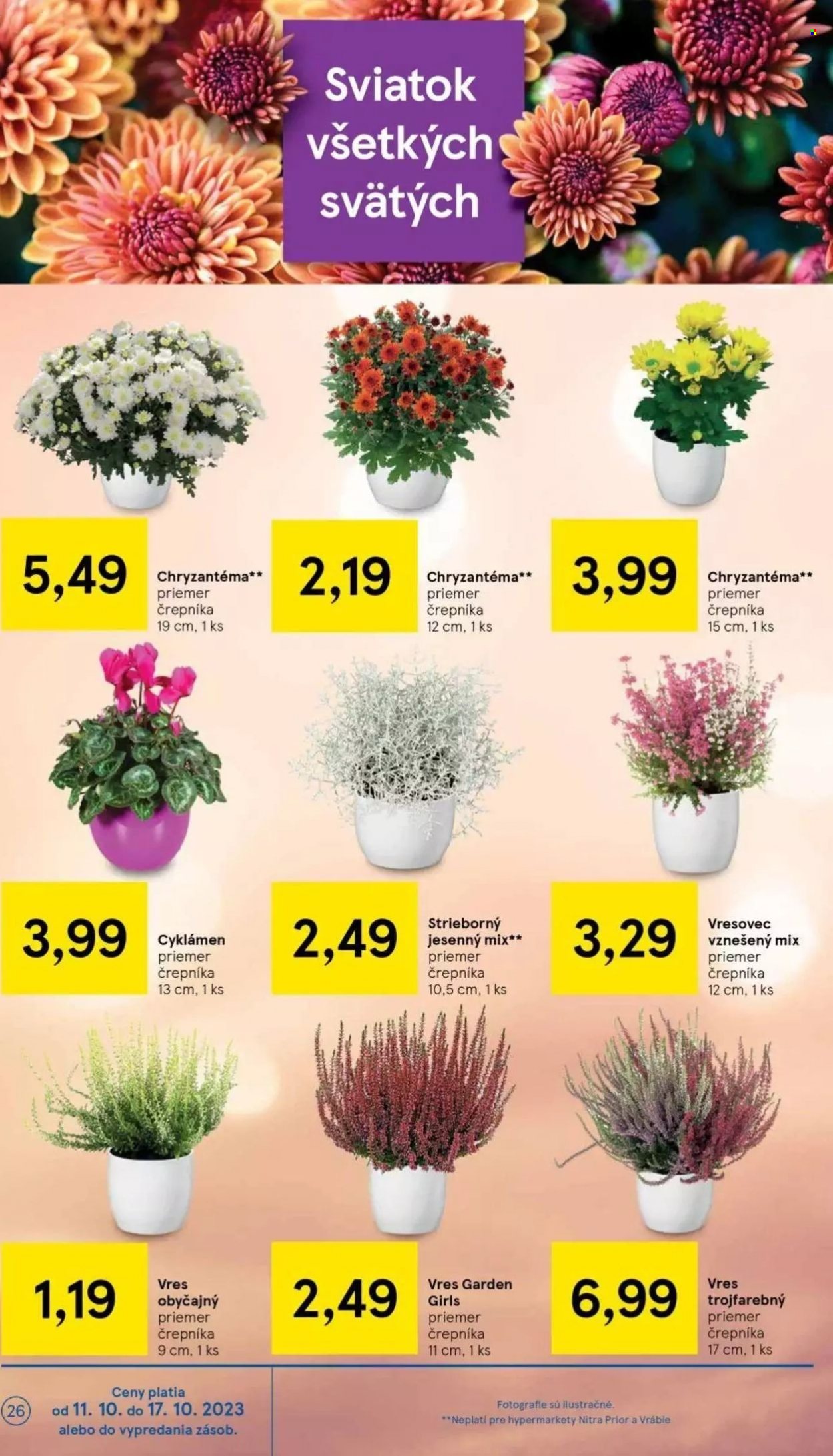 Leták TESCO - 11.10.2023 - 17.10.2023. Strana 26