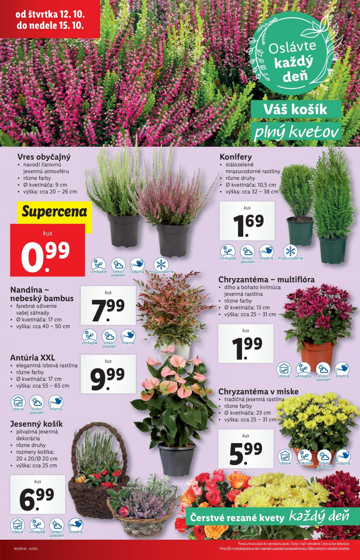 Leták Lidl - 12.10.2023 - 15.10.2023. Strana 47
