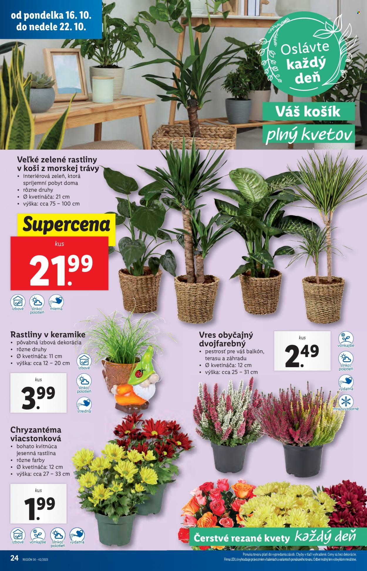 Leták Lidl - 16.10.2023 - 22.10.2023. Strana 30