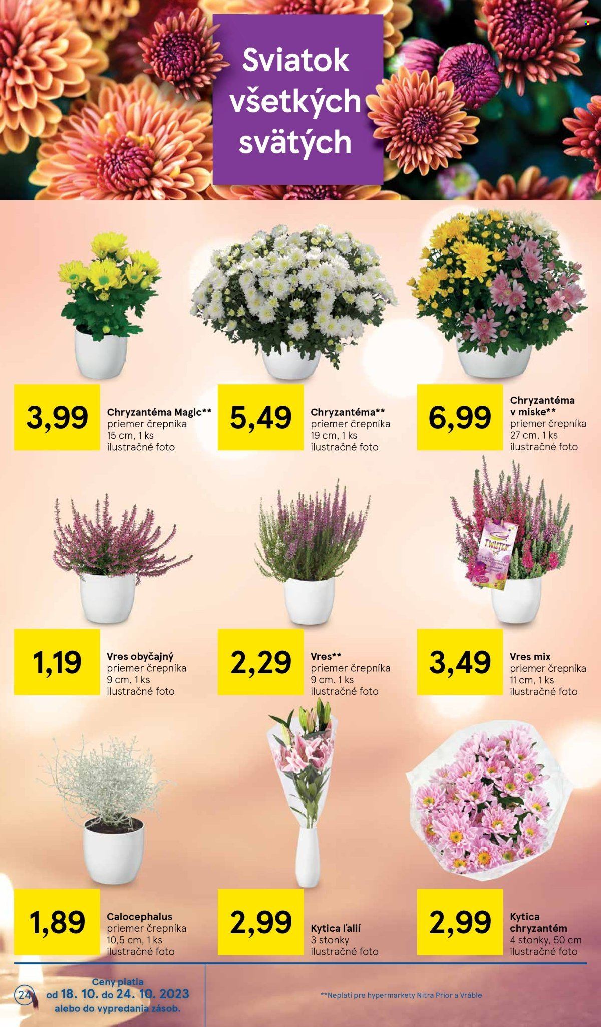 Leták TESCO - 18.10.2023 - 24.10.2023. Strana 24