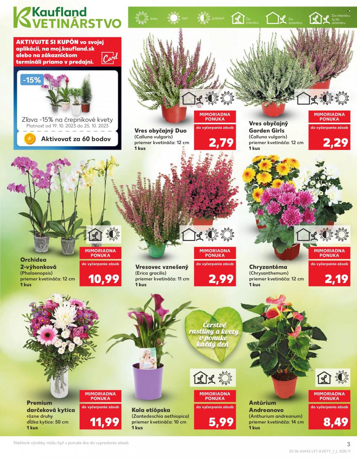Leták Kaufland - 19.10.2023 - 25.10.2023. Strana 3