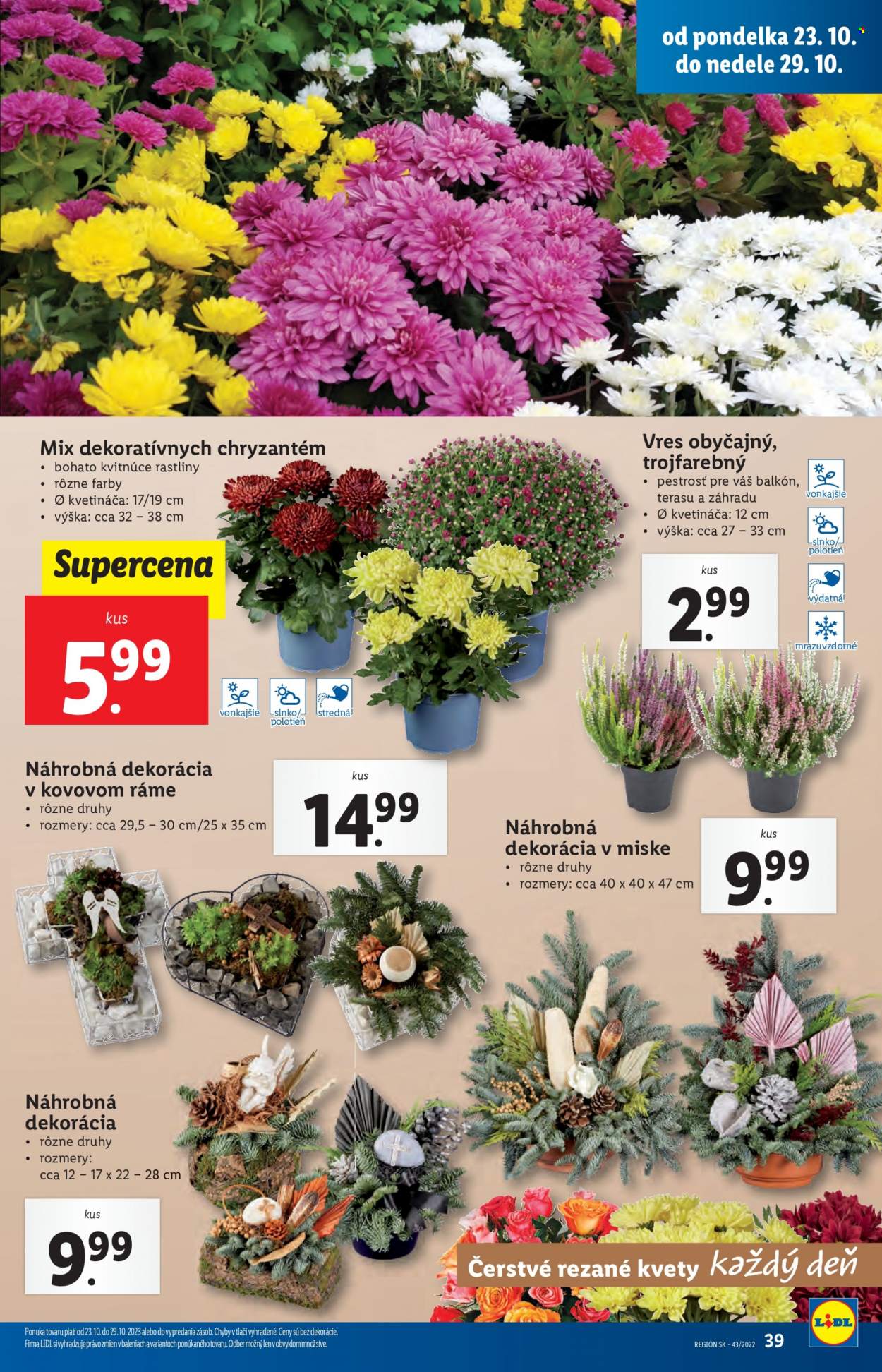 Leták Lidl - 23.10.2023 - 29.10.2023. Strana 55