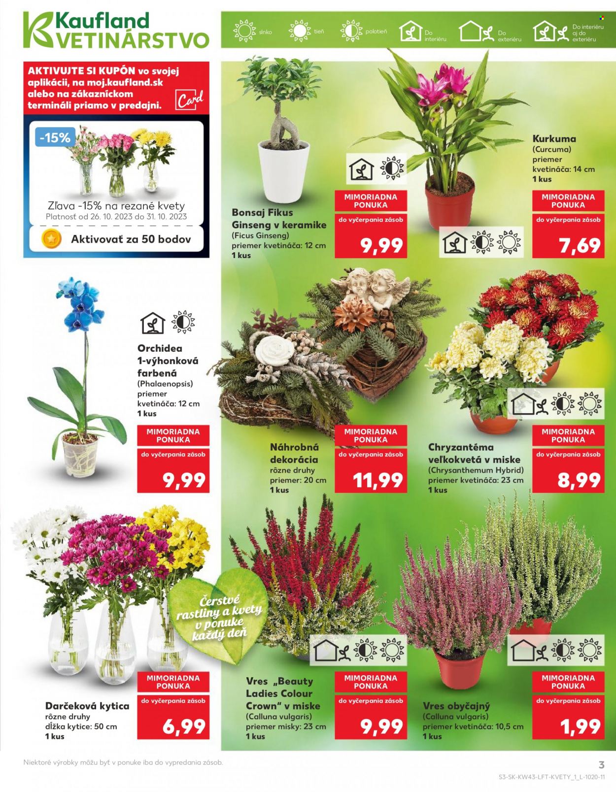 Leták Kaufland - 26.10.2023 - 31.10.2023. Strana 3