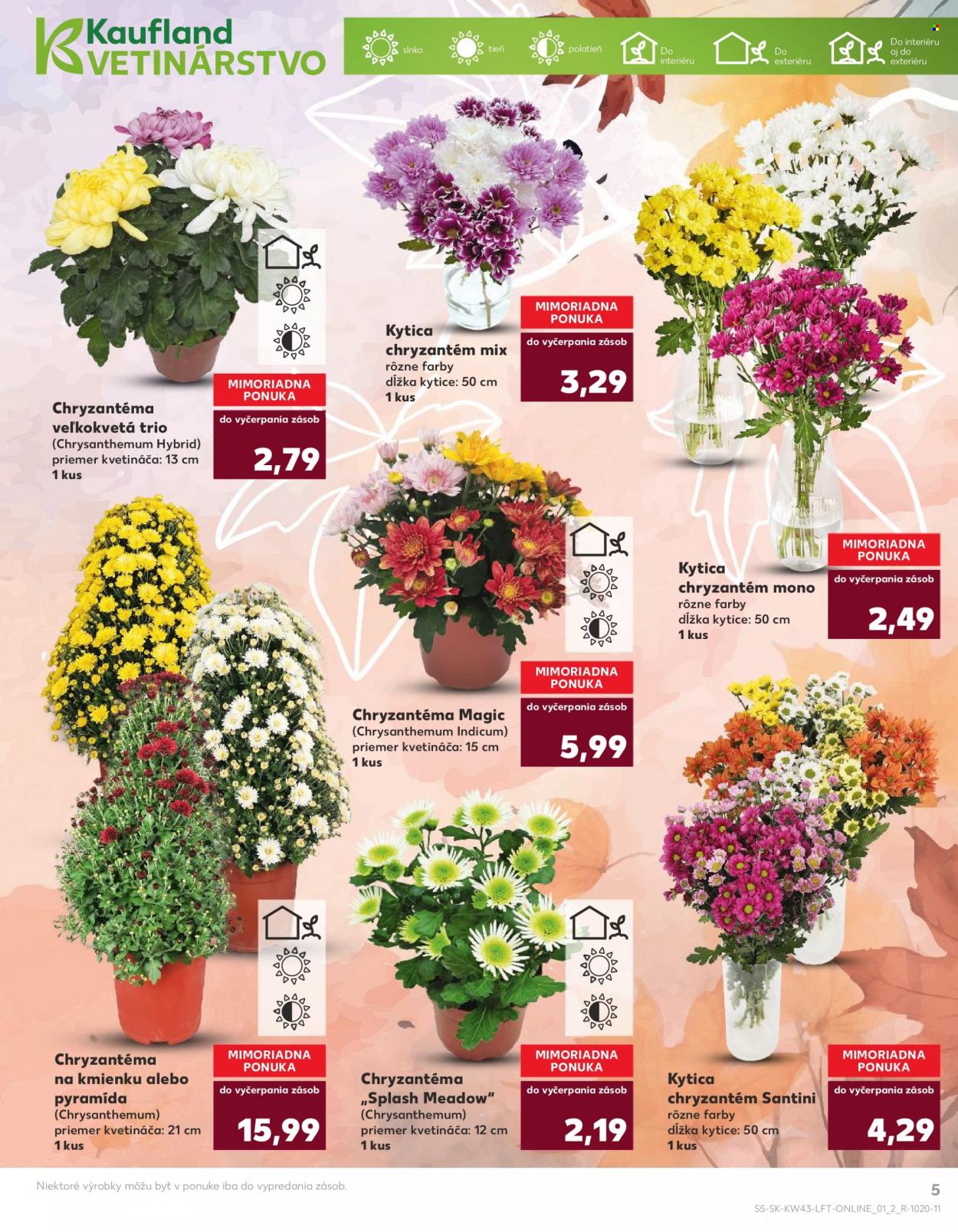 Leták Kaufland - 26.10.2023 - 31.10.2023. Strana 5
