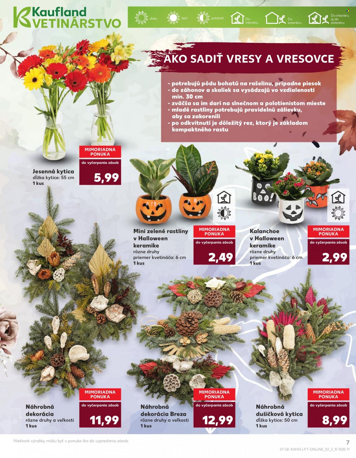 Leták Kaufland - 26.10.2023 - 31.10.2023. Strana 7