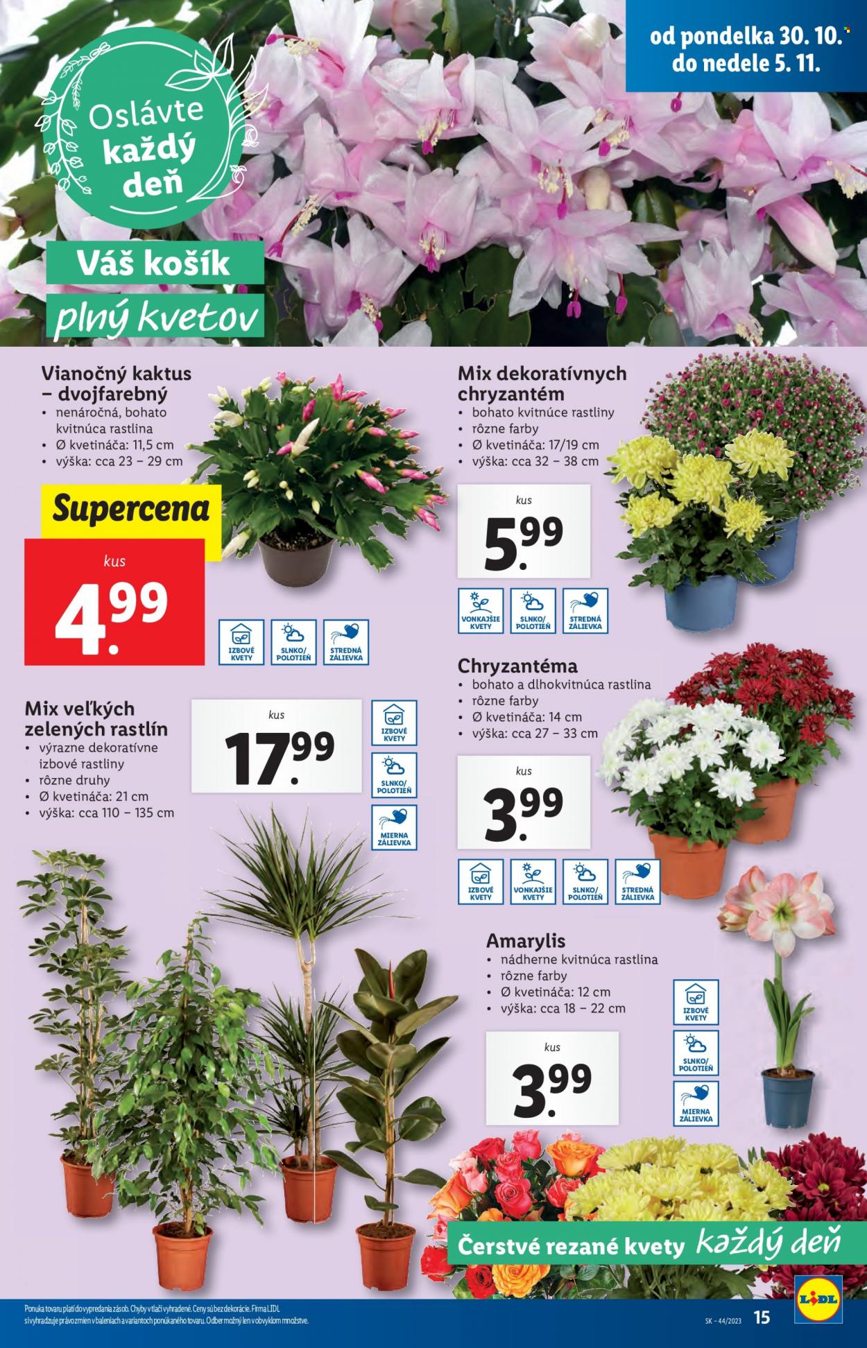 Leták Lidl - 30.10.2023 - 5.11.2023. Strana 22