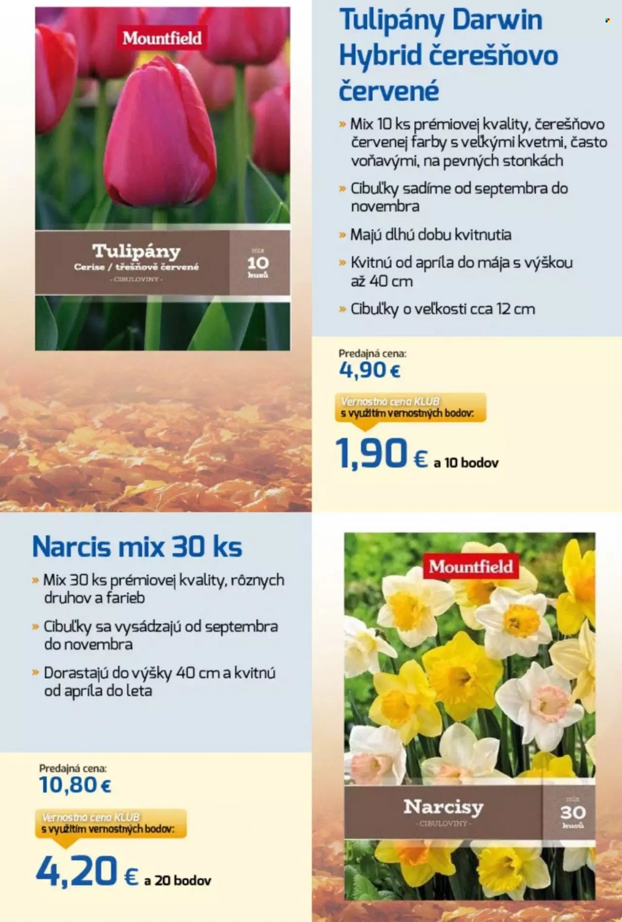 Leták Möbelix - 6.11.2023 - 12.11.2023. Strana 13