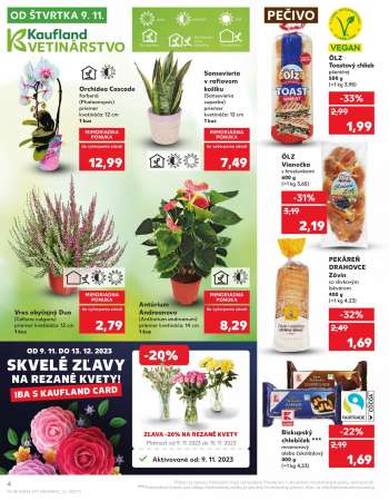 thumbnail - Sansevieria v rafiovom košíku