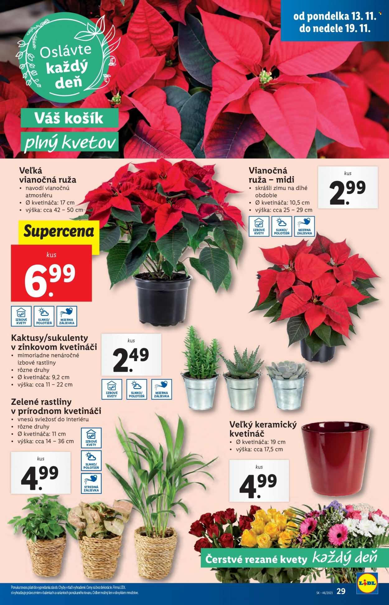 Leták Lidl - 13.11.2023 - 19.11.2023. Strana 38