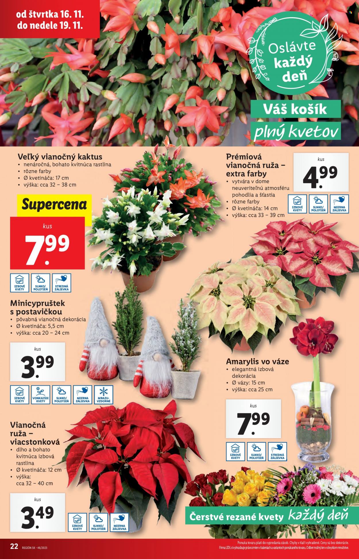 Leták Lidl - 16.11.2023 - 19.11.2023. Strana 29