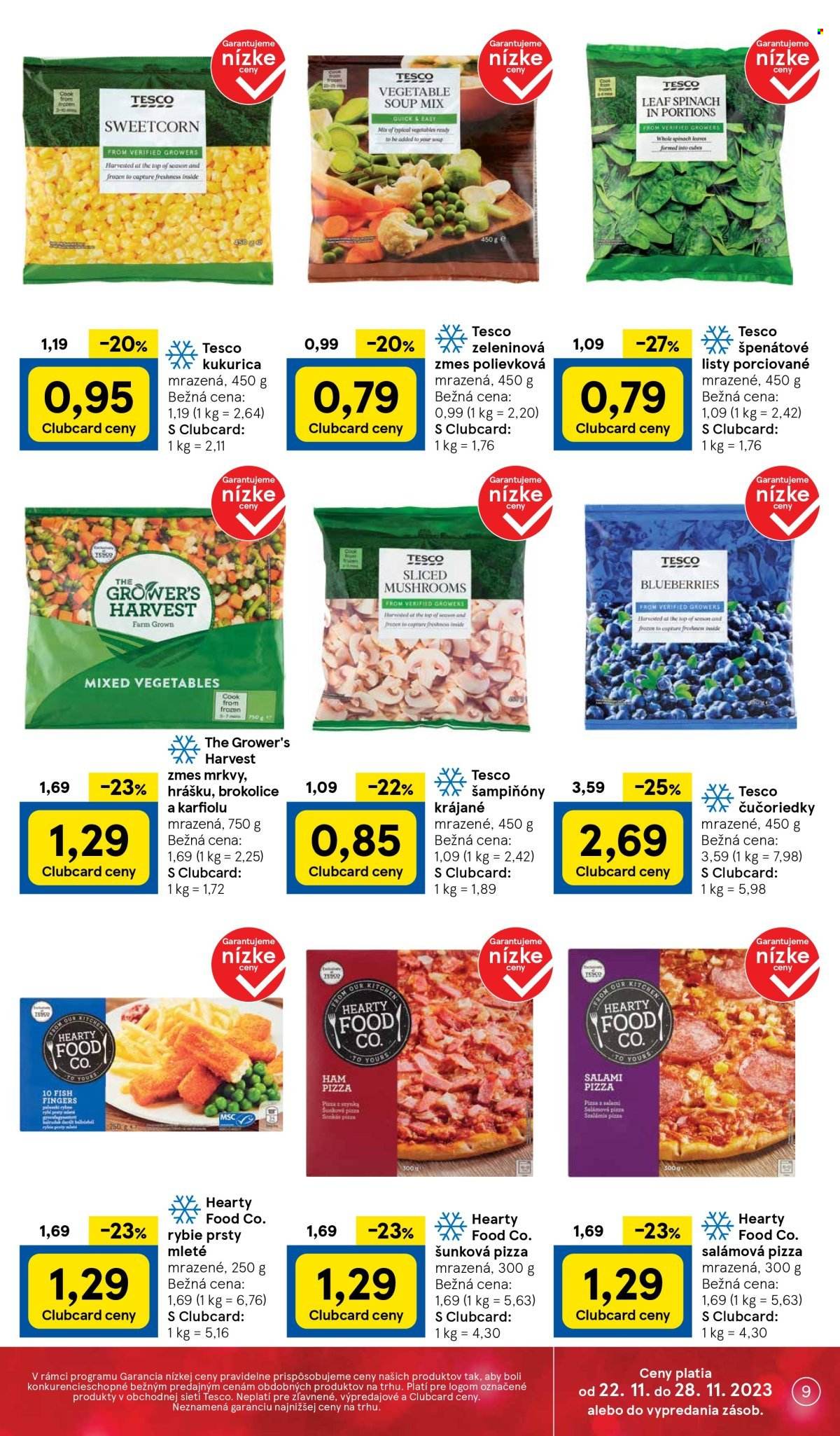 Leták TESCO - 22.11.2023 - 28.11.2023. Strana 9