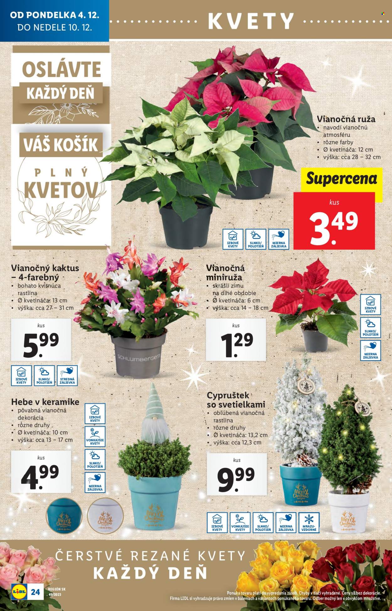 Leták Lidl - 4.12.2023 - 10.12.2023. Strana 34