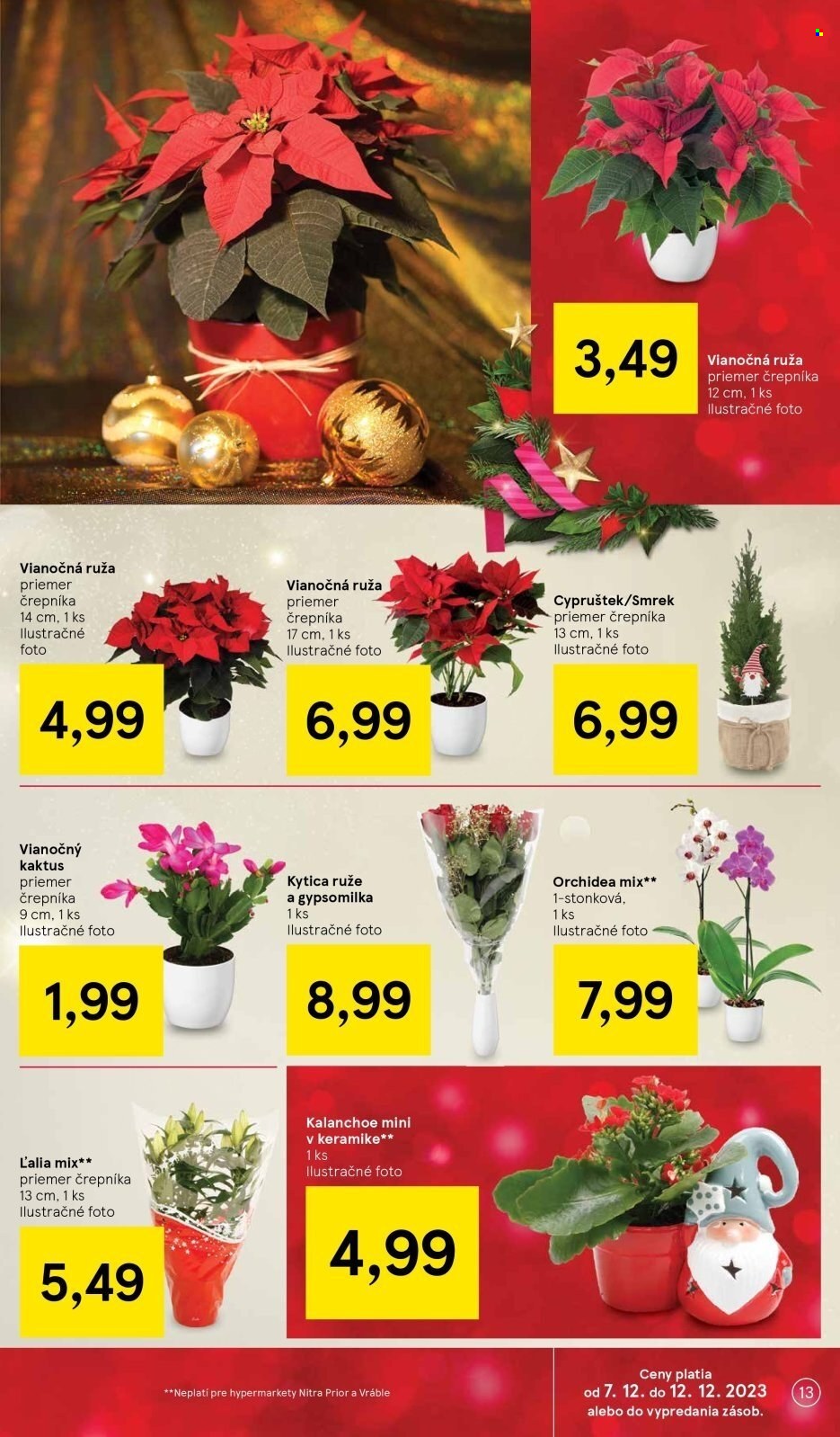 Leták TESCO hypermarket - 7.12.2023 - 12.12.2023. Strana 13