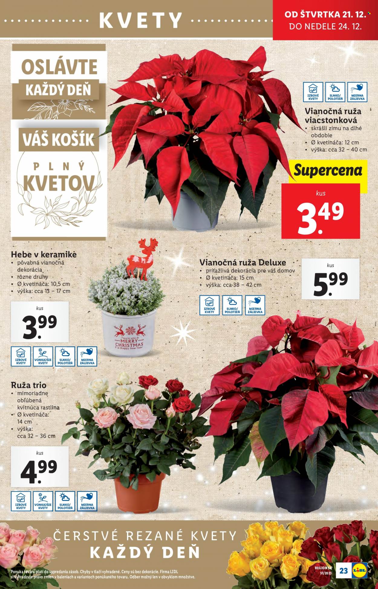 Leták Lidl - 21.12.2023 - 24.12.2023. Strana 33