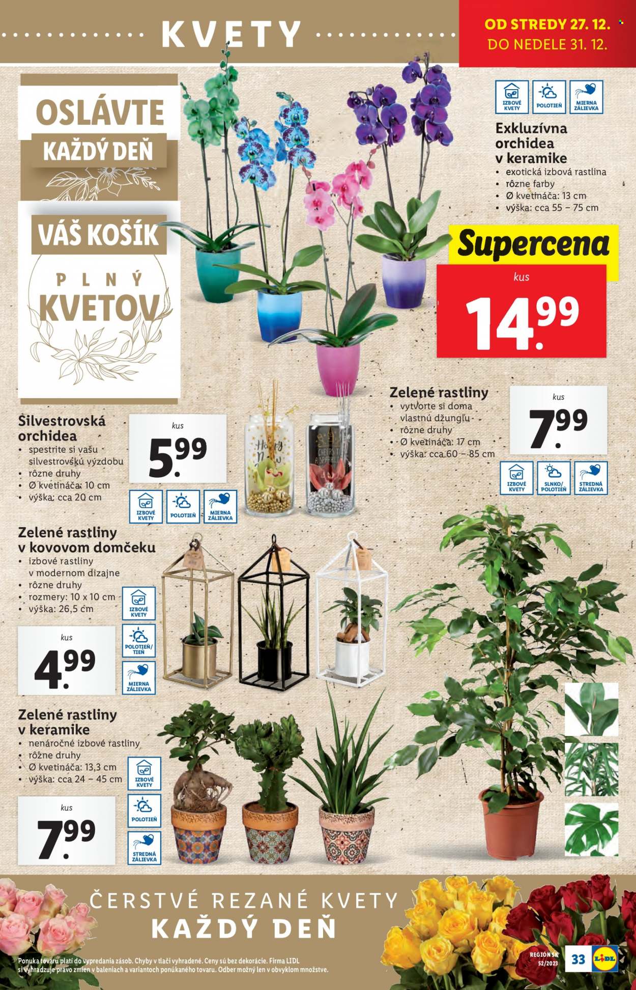 Leták Lidl - 27.12.2023 - 31.12.2023. Strana 36
