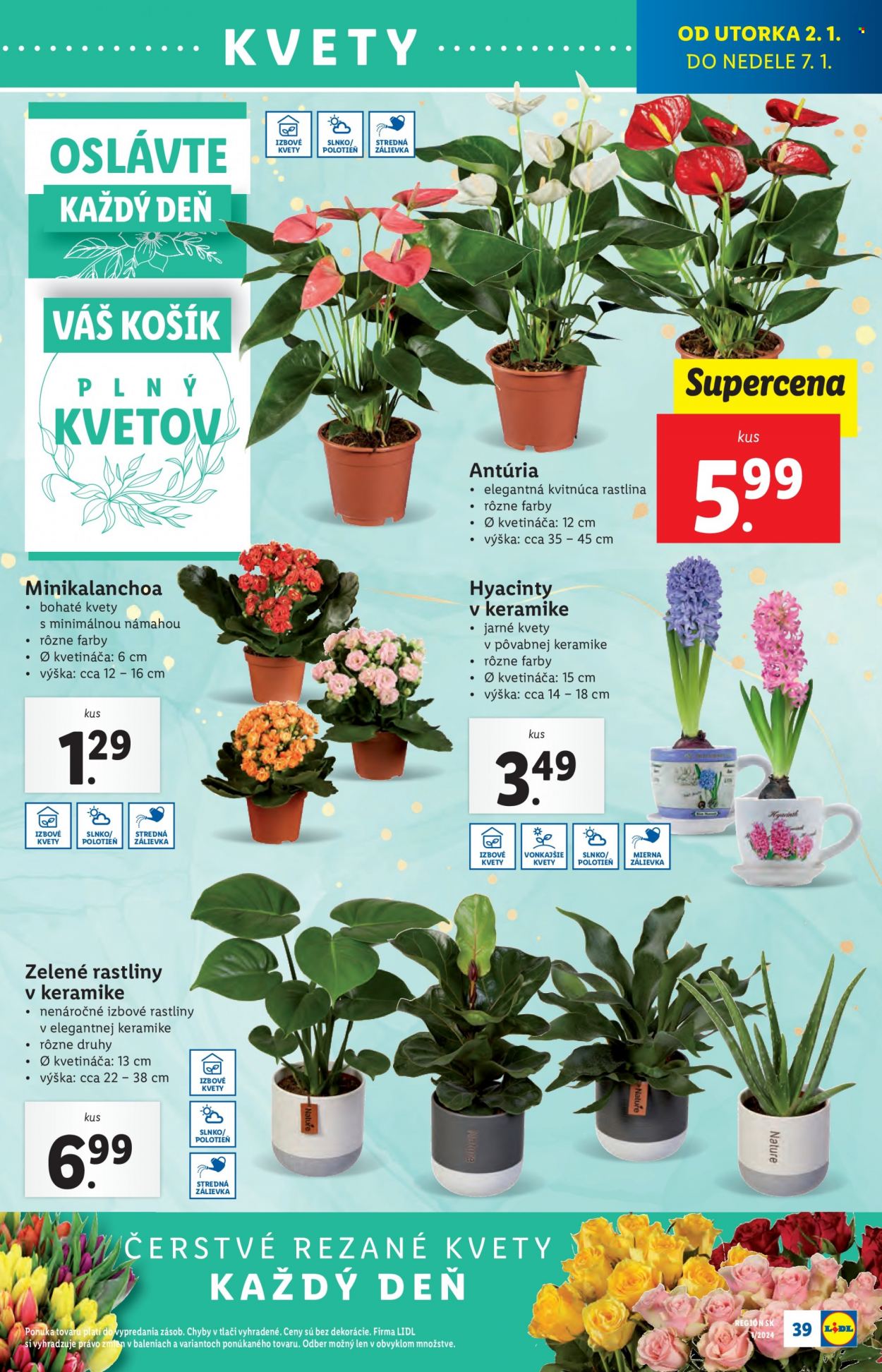 Leták Lidl - 2.1.2024 - 7.1.2024. Strana 46