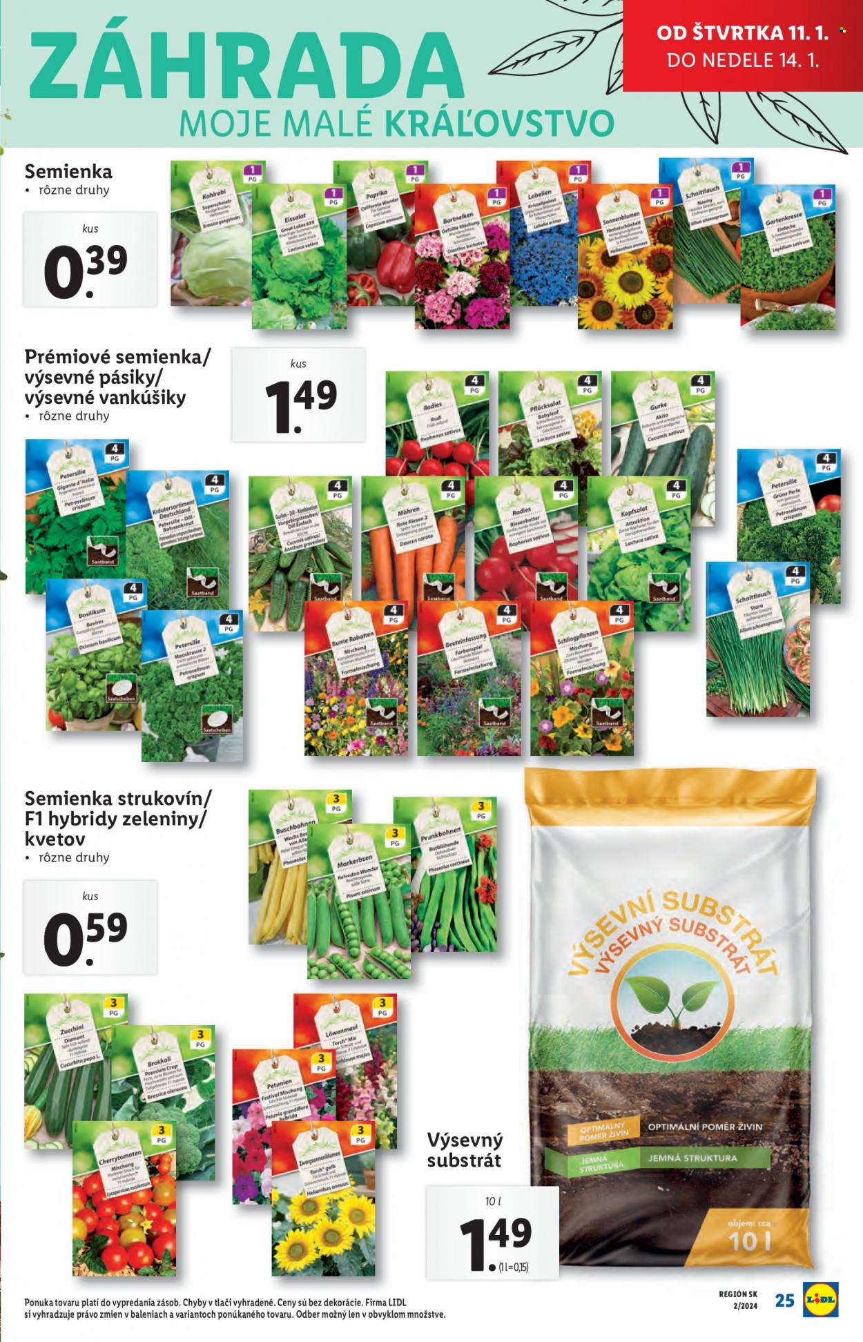 Leták Lidl - 11.1.2024 - 14.1.2024. Strana 31
