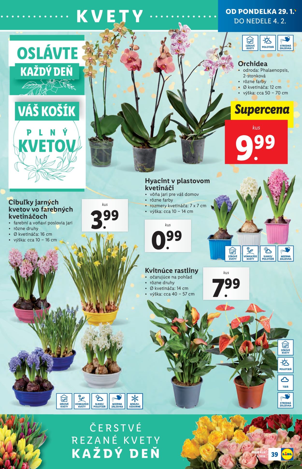 Leták Lidl - 29.1.2024 - 4.2.2024. Strana 45