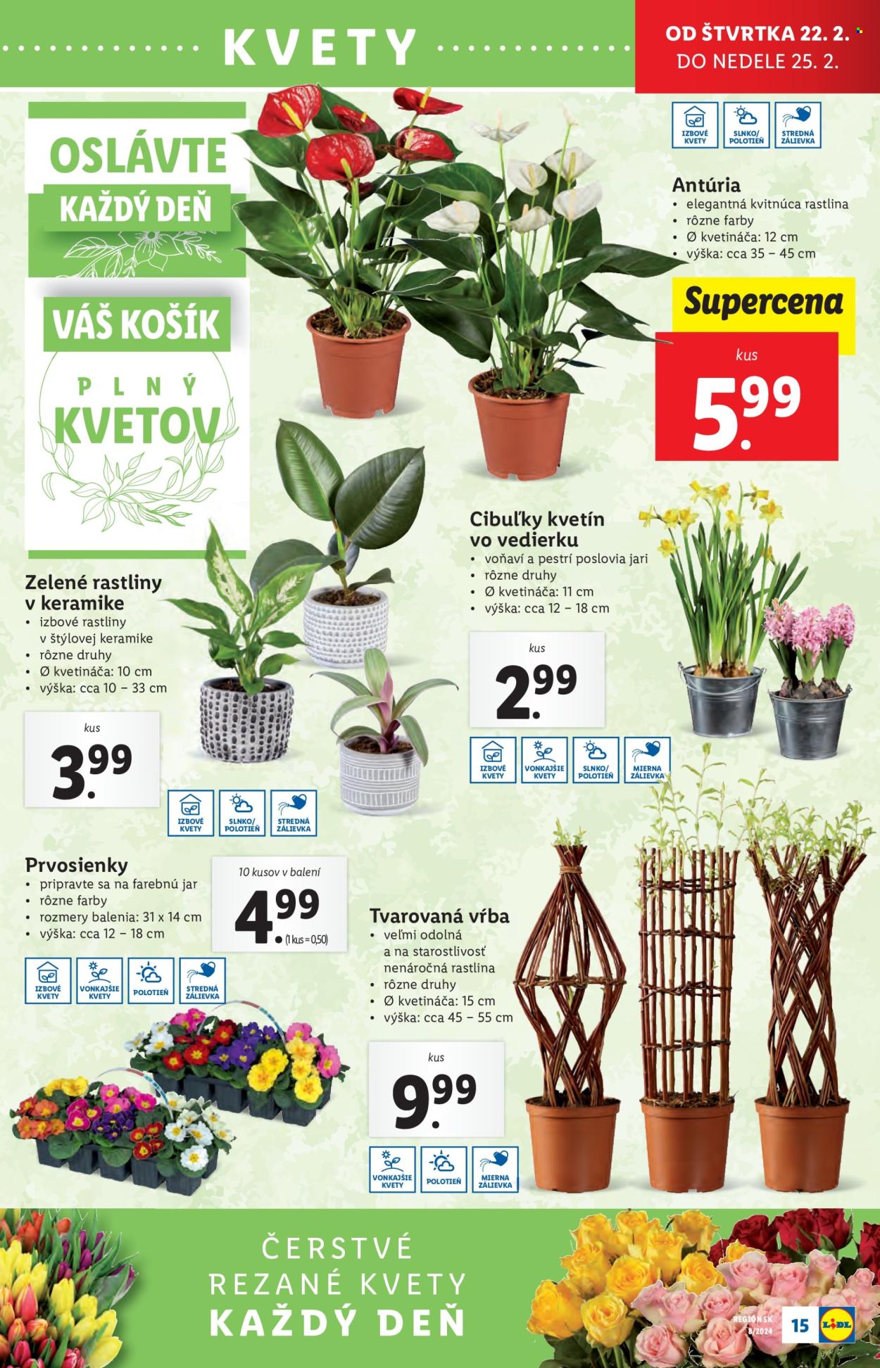 Leták Lidl - 22.2.2024 - 25.2.2024. Strana 23