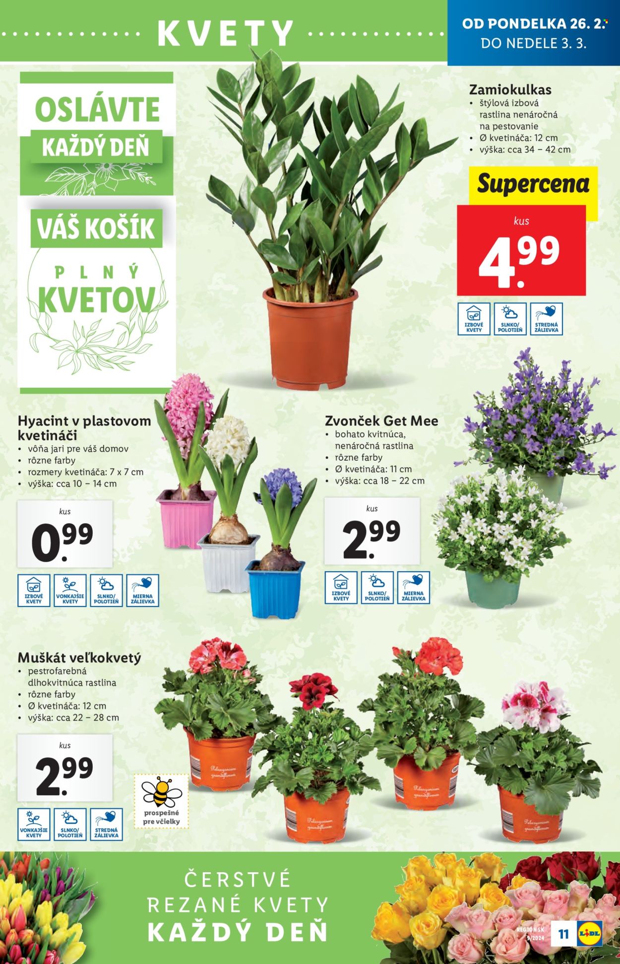 Leták Lidl - 26.2.2024 - 3.3.2024. Strana 11