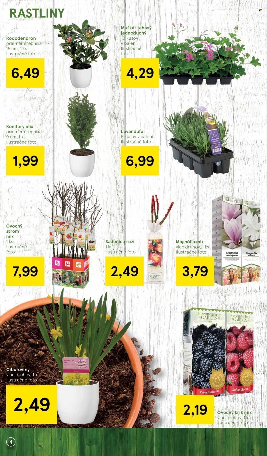 Leták TESCO - 27.2.2024 - 19.3.2024. Strana 4