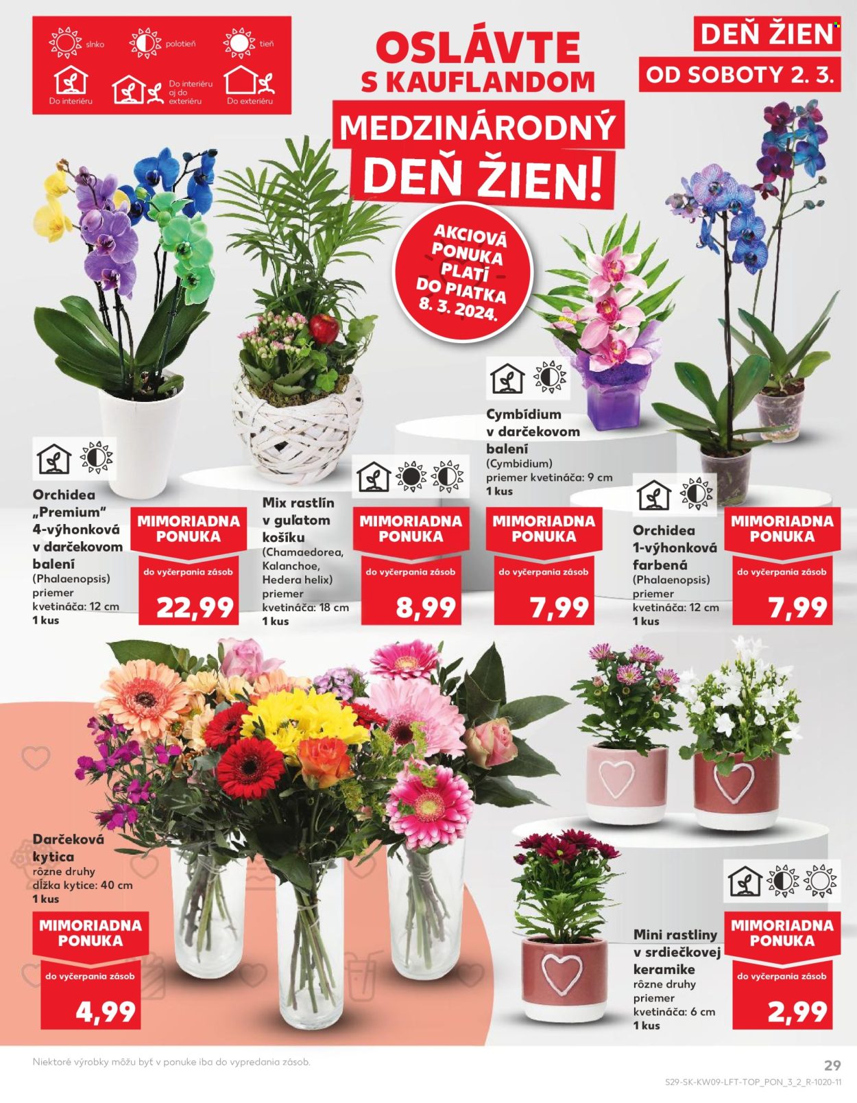 Leták Kaufland - 29.2.2024 - 6.3.2024. Strana 29