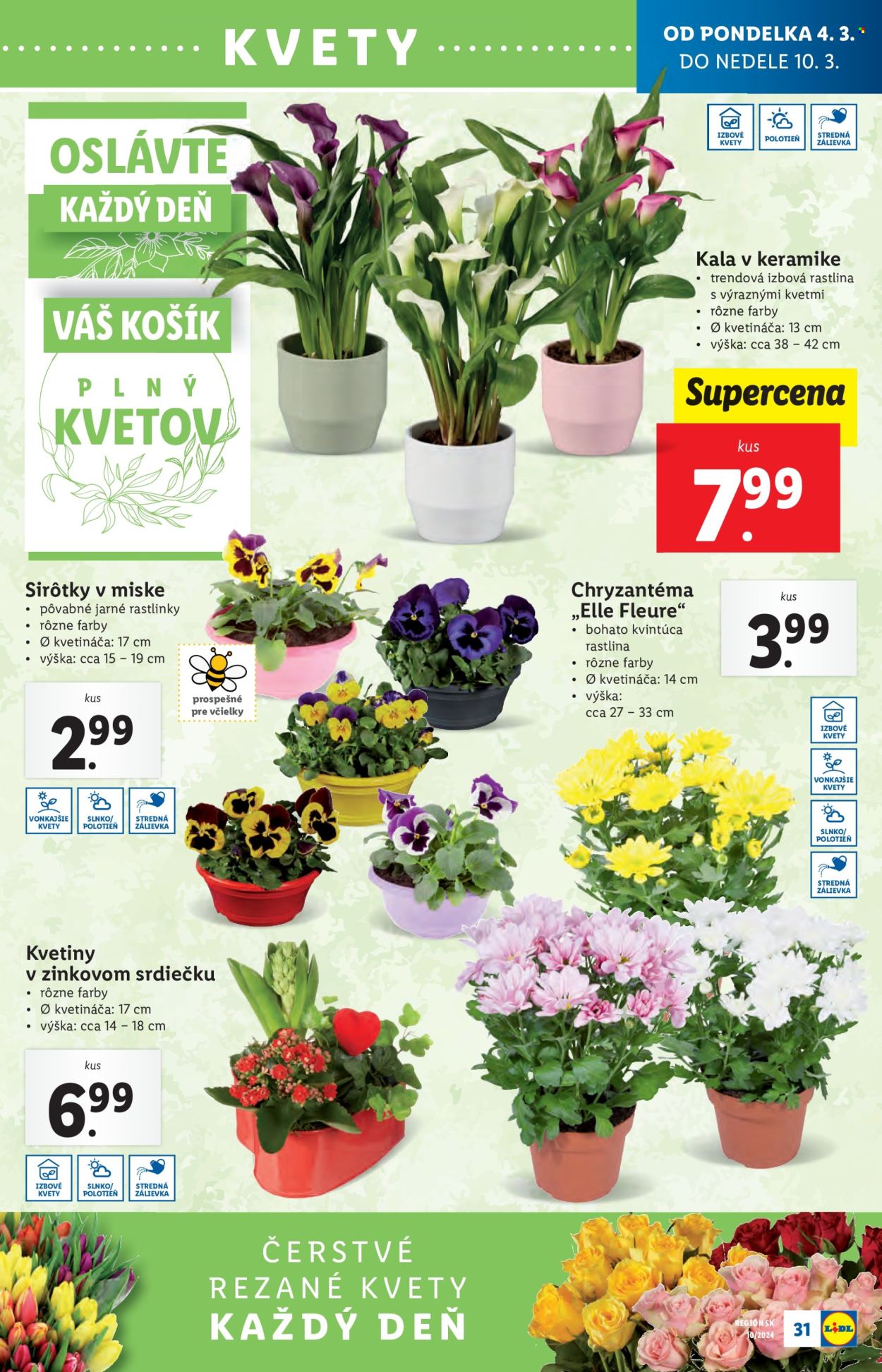 Leták Lidl - 4.3.2024 - 10.3.2024. Strana 37