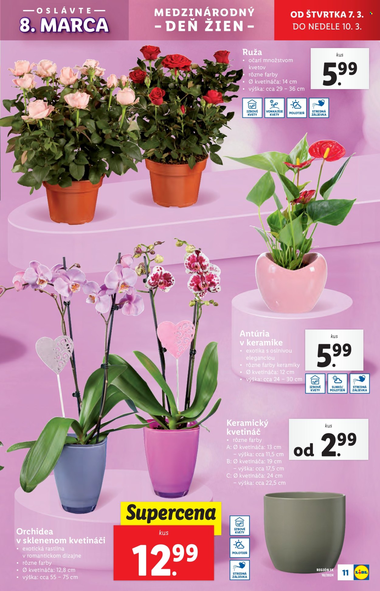Leták Lidl - 7.3.2024 - 10.3.2024. Strana 23