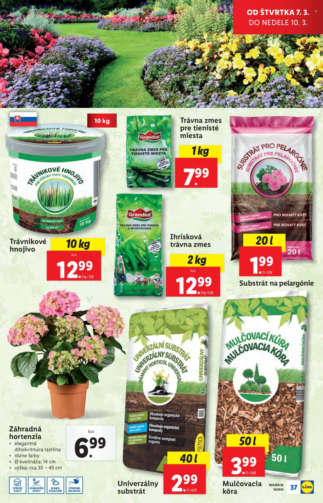 Leták Lidl - 7.3.2024 - 10.3.2024. Strana 53