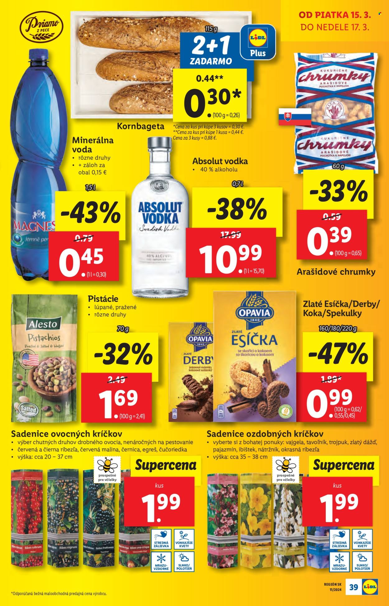 Leták Lidl - 14.3.2024 - 17.3.2024. Strana 51