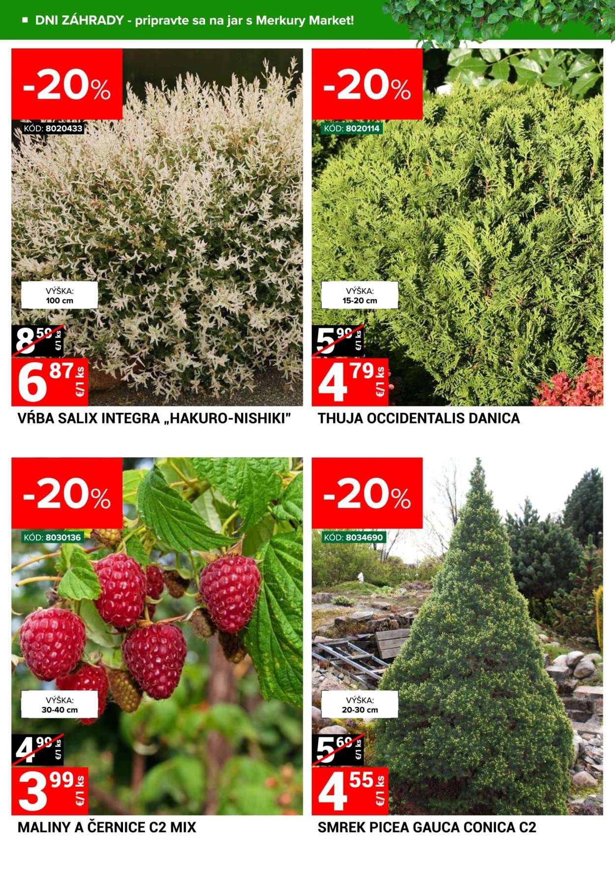 Leták Merkury Market - 16.3.2024 - 24.3.2024. Strana 2