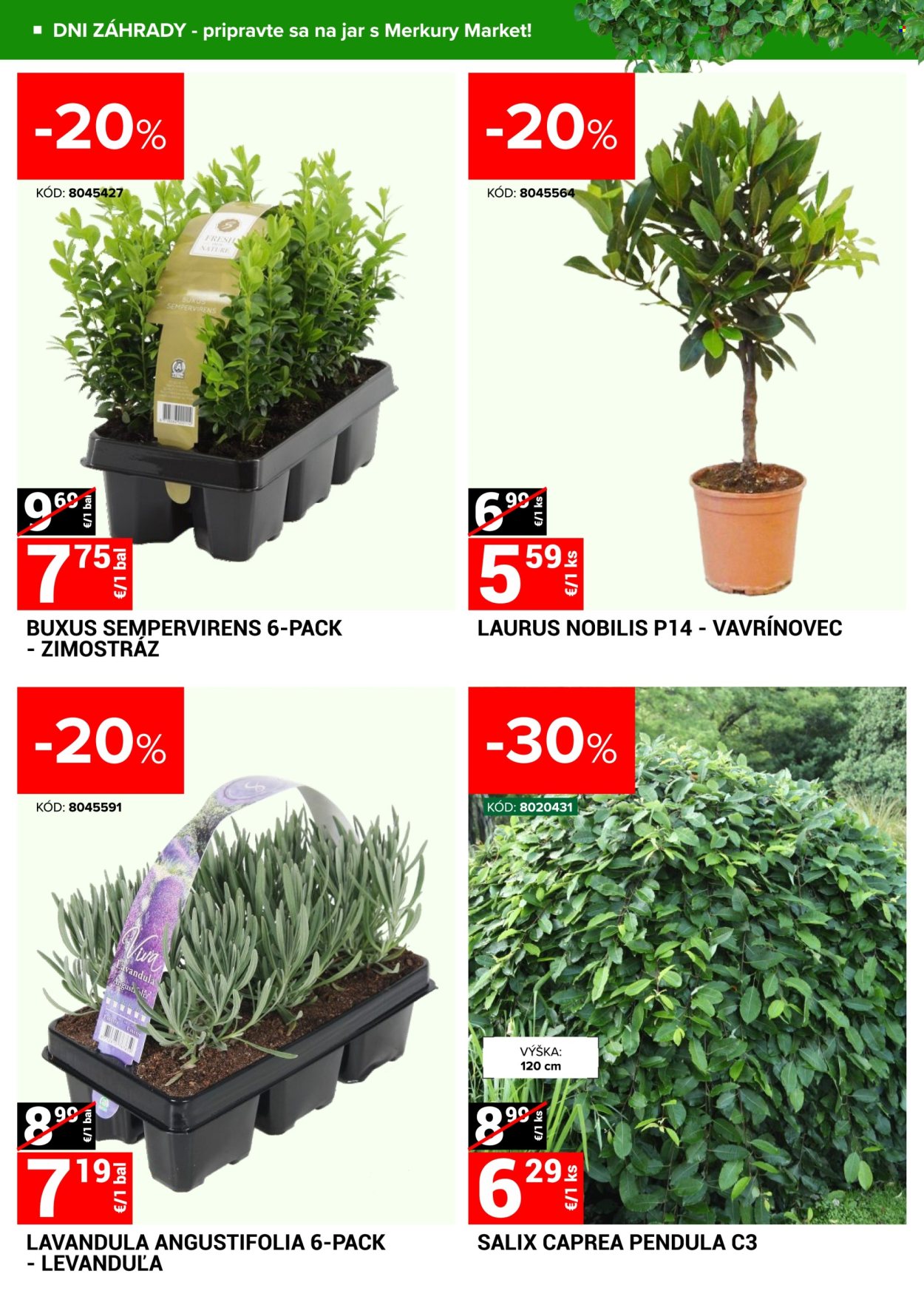 Leták Merkury Market - 16.3.2024 - 24.3.2024. Strana 3