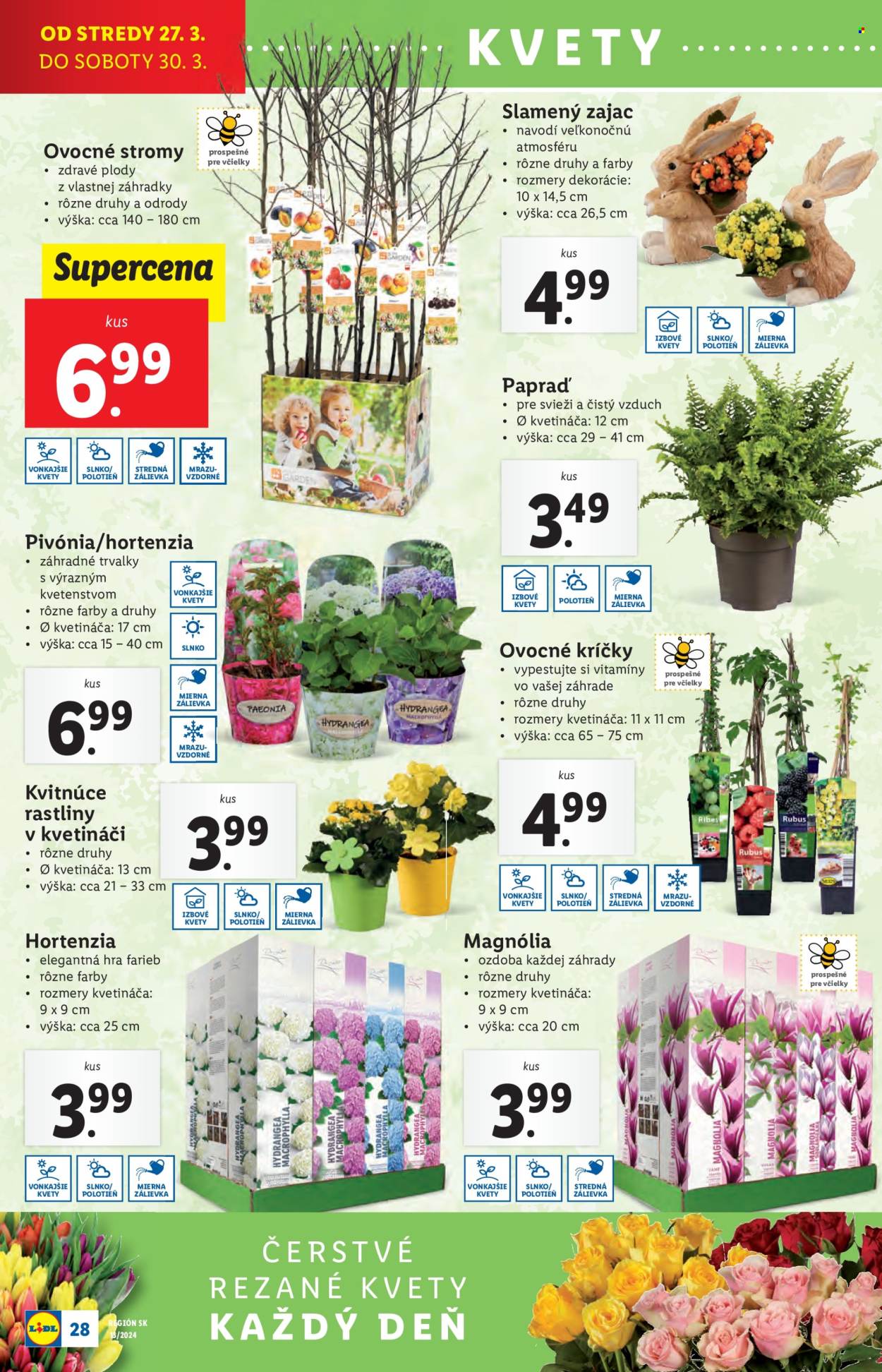 Leták Lidl - 27.3.2024 - 30.3.2024. Strana 40