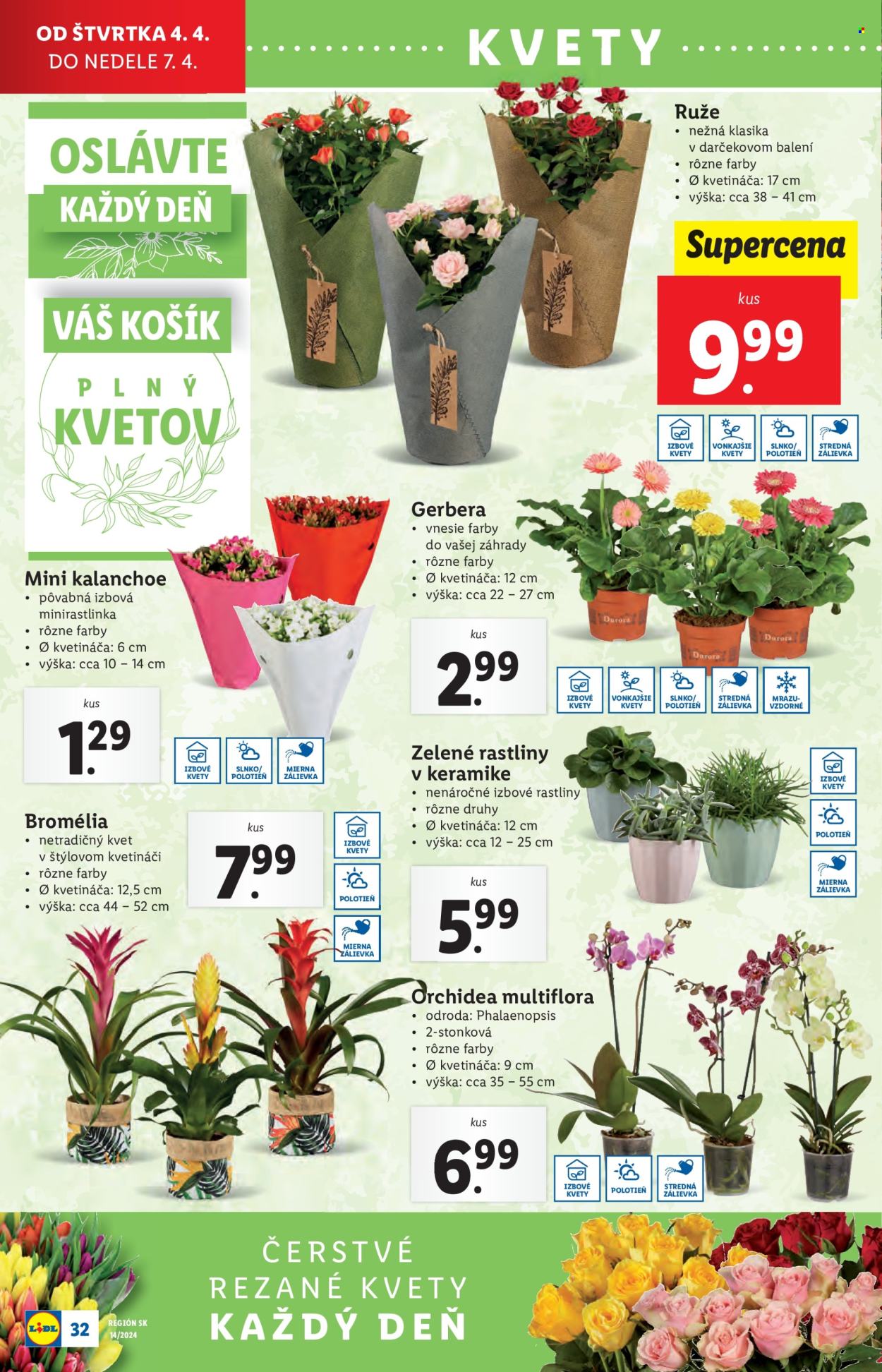 Leták Lidl - 4.4.2024 - 7.4.2024. Strana 42