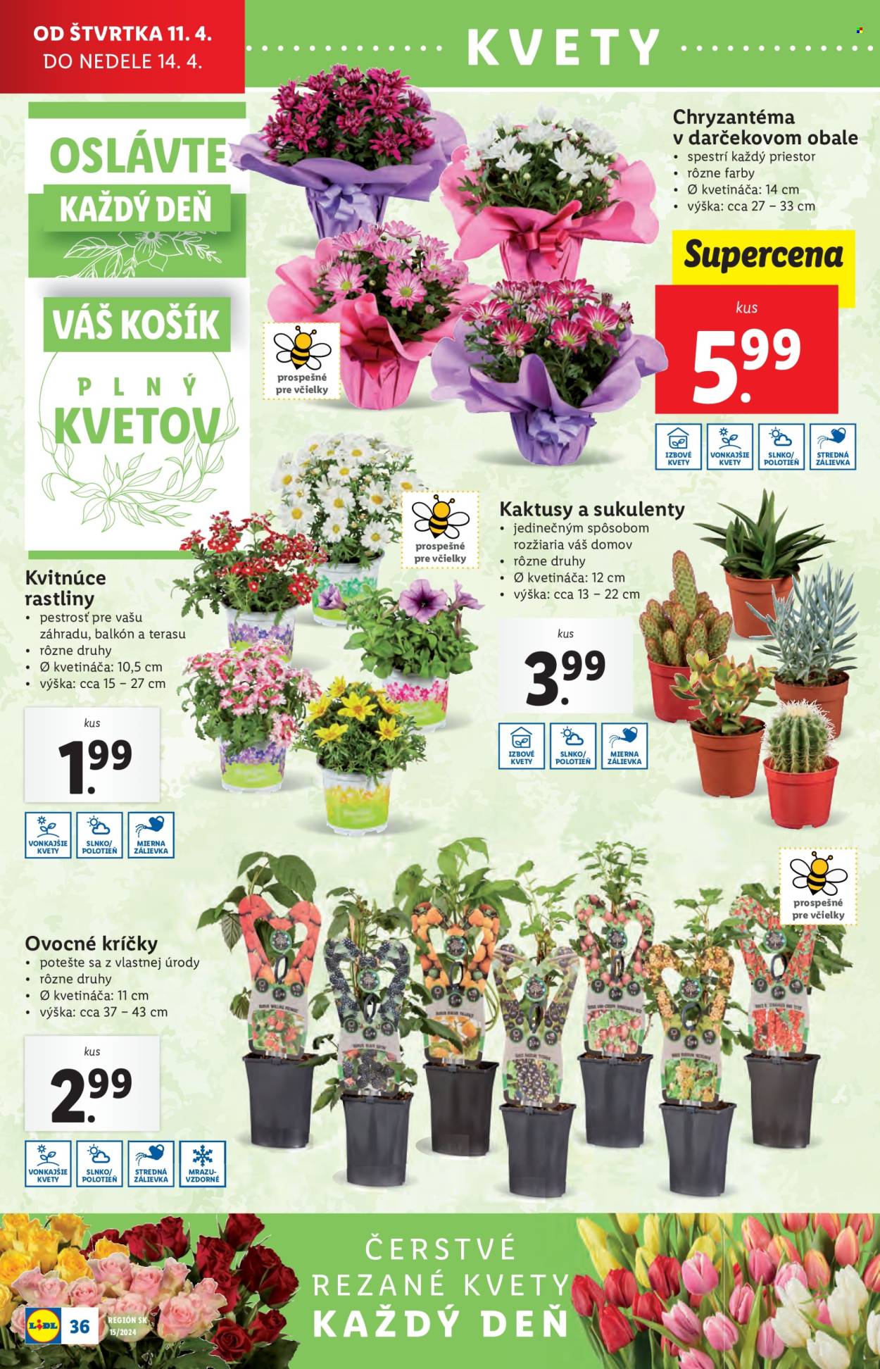 Leták Lidl - 11.4.2024 - 14.4.2024. Strana 47