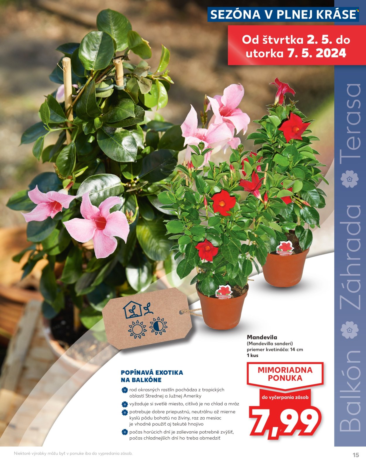 Leták Kaufland - 11.4.2024 - 7.5.2024. Strana 15