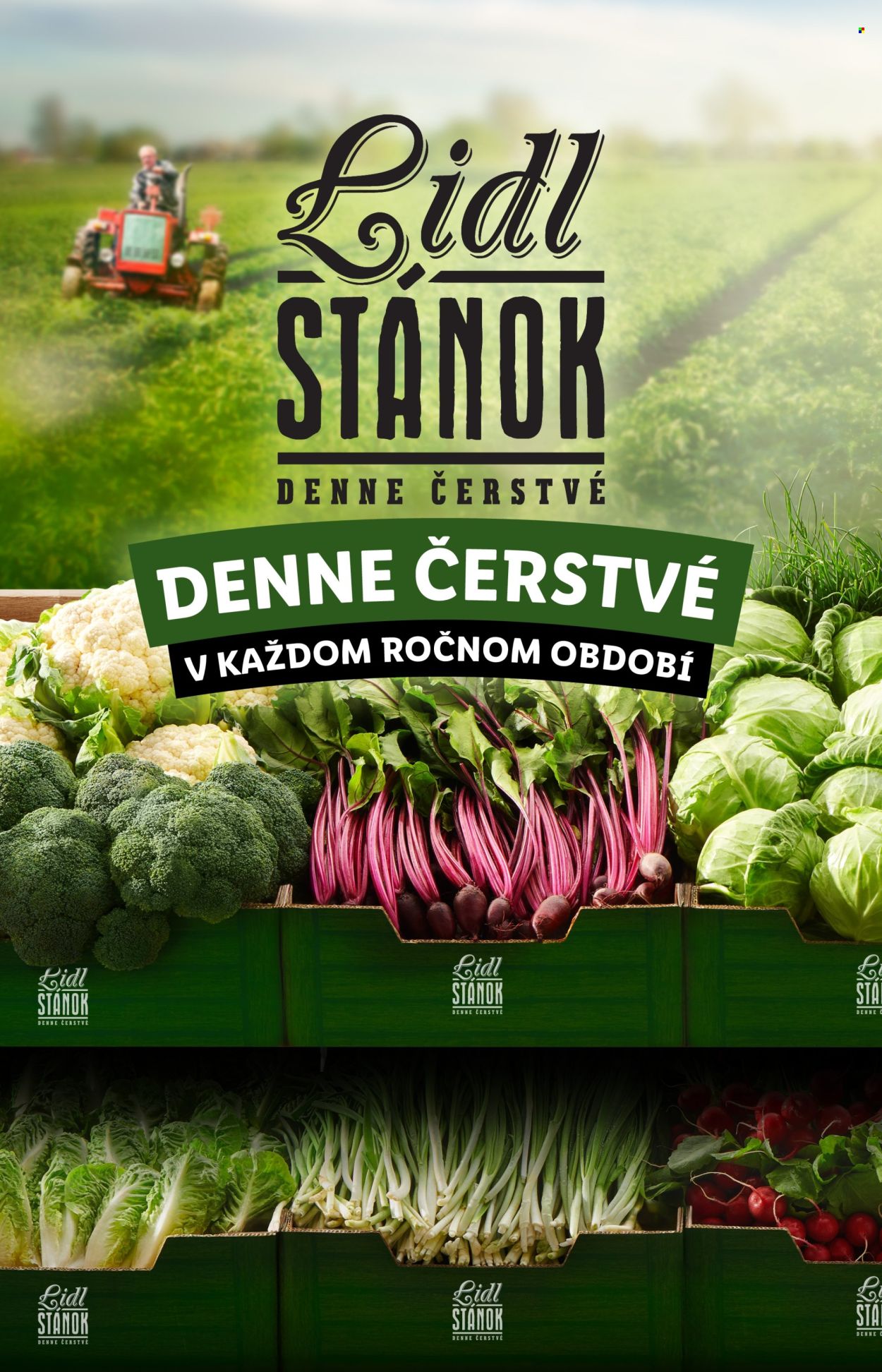 Leták Lidl - 22.4.2024 - 28.4.2024. Strana 10
