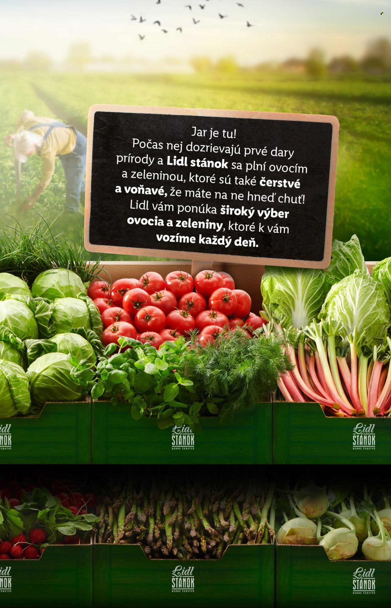 Leták Lidl - 22.4.2024 - 28.4.2024. Strana 11
