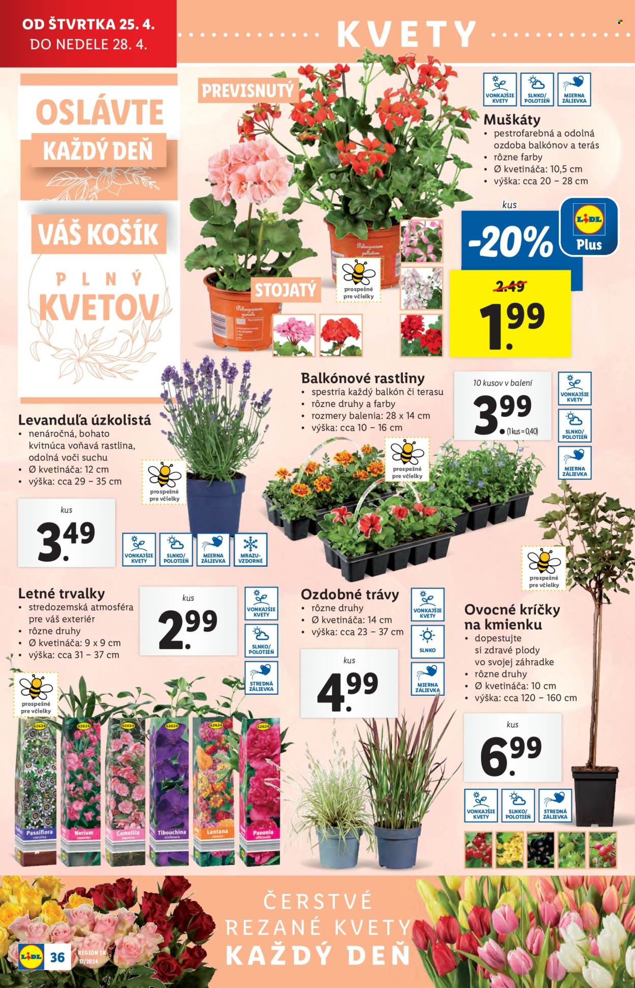 Leták Lidl - 25.4.2024 - 28.4.2024. Strana 54