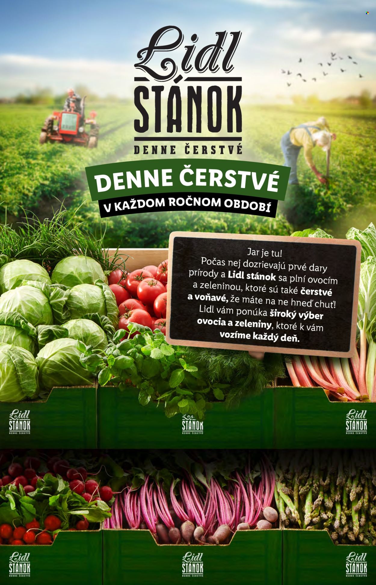 Leták Lidl - 9.5.2024 - 12.5.2024. Strana 9