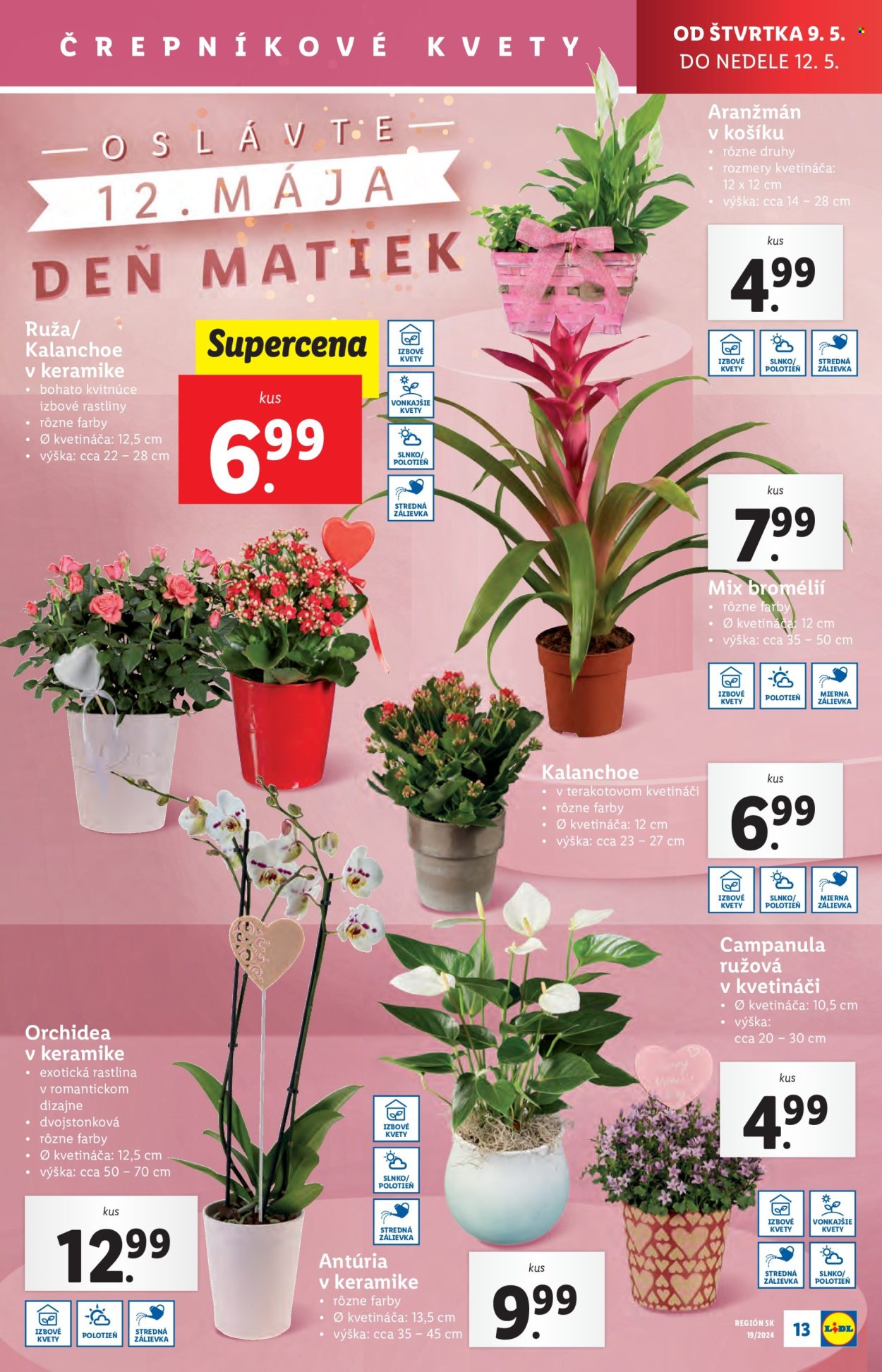 Leták Lidl - 9.5.2024 - 12.5.2024. Strana 19
