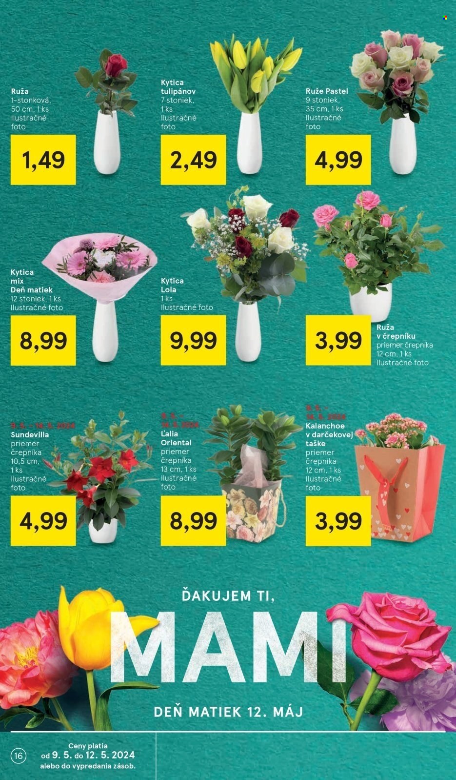 Leták TESCO - 9.5.2024 - 14.5.2024. Strana 16