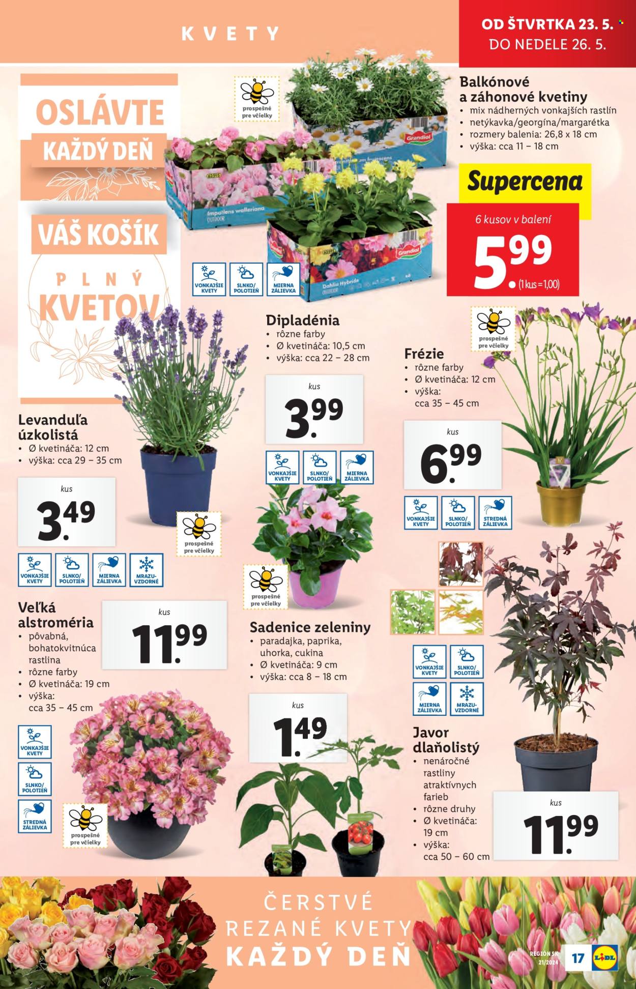 Leták Lidl - 23.5.2024 - 26.5.2024. Strana 23