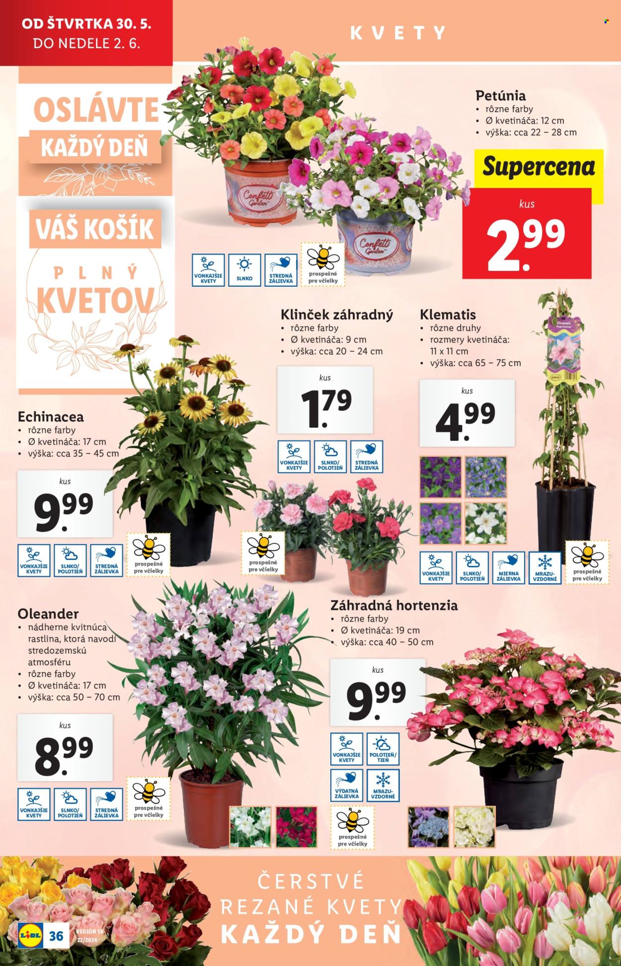 Leták Lidl - 30.5.2024 - 2.6.2024. Strana 45