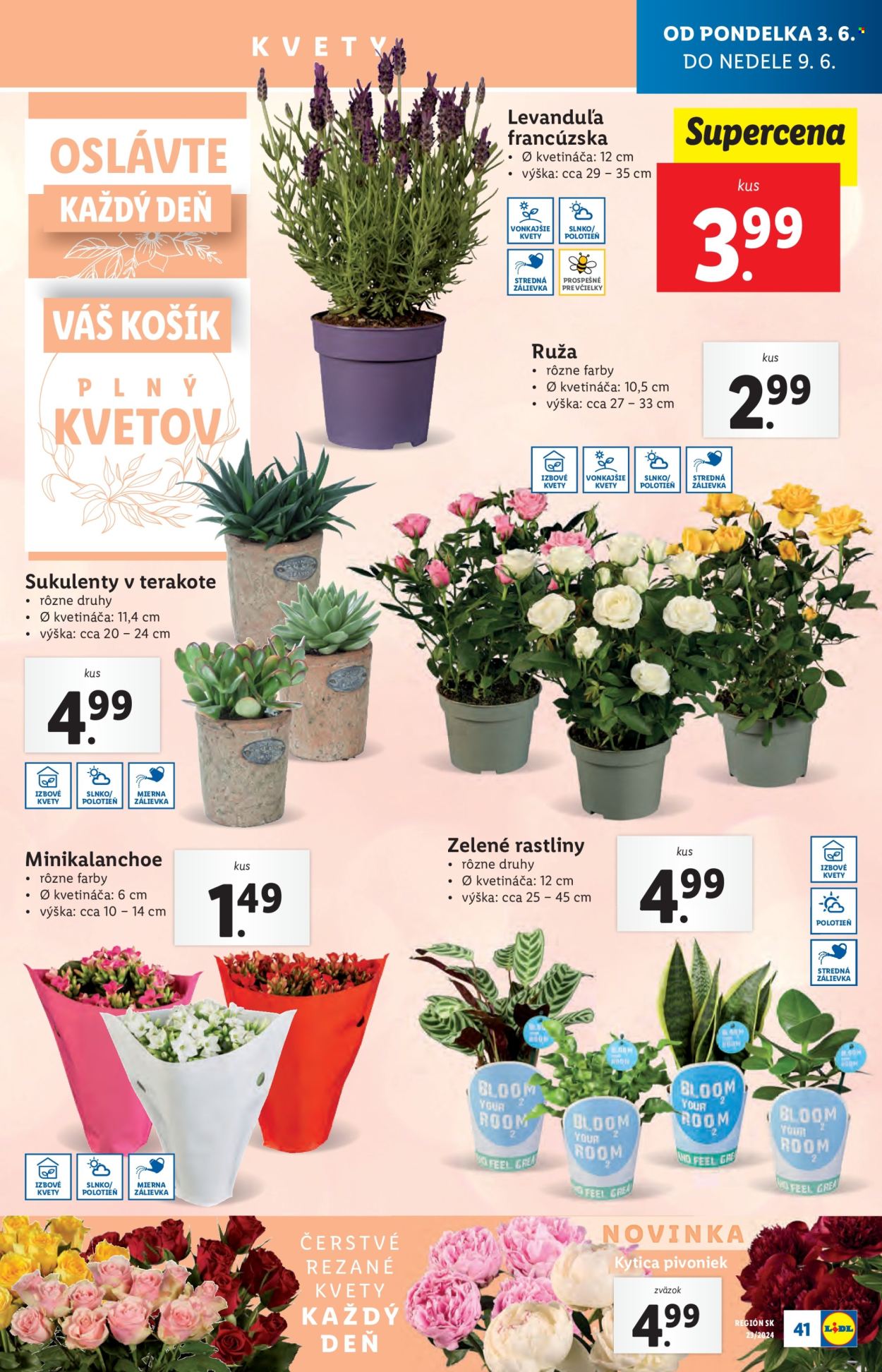 Leták Lidl - 3.6.2024 - 9.6.2024. Strana 54