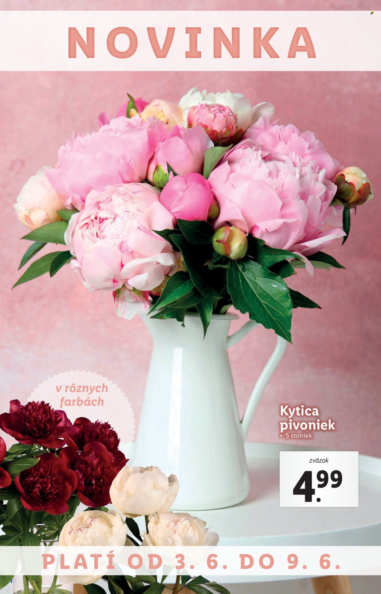 Leták Lidl - 3.6.2024 - 9.6.2024. Strana 55