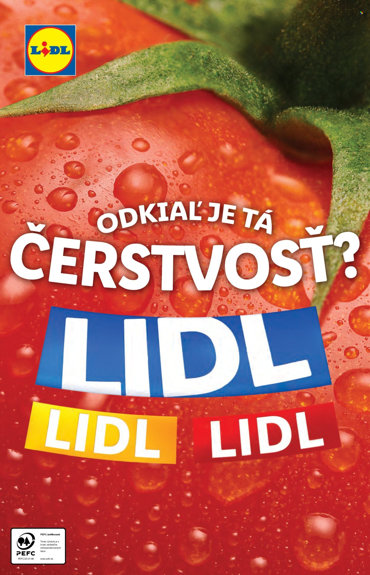 Leták Lidl - 10.6.2024 - 16.6.2024. Strana 4